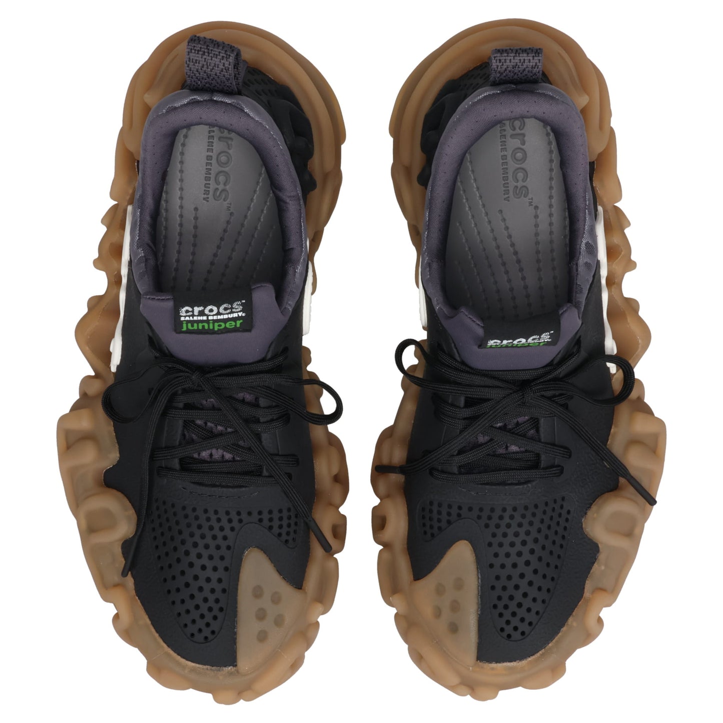 SALEHEBEMBURY x JUNIPER / BOBA