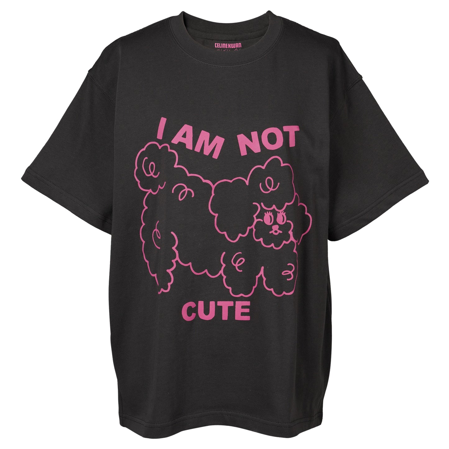 I AM NOT CUTE' T-SHIRT (SCREEN PRINTED) / GREY