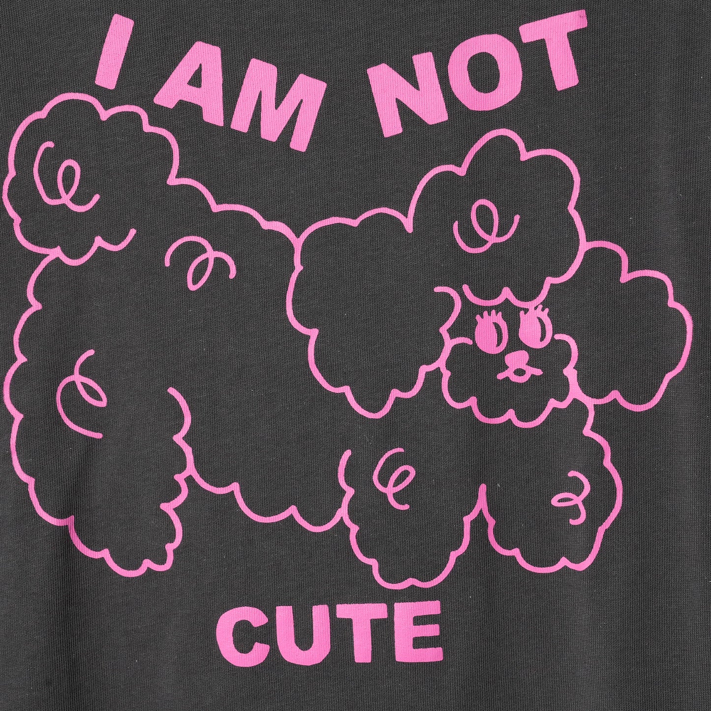 I AM NOT CUTE' T-SHIRT (SCREEN PRINTED) / GREY