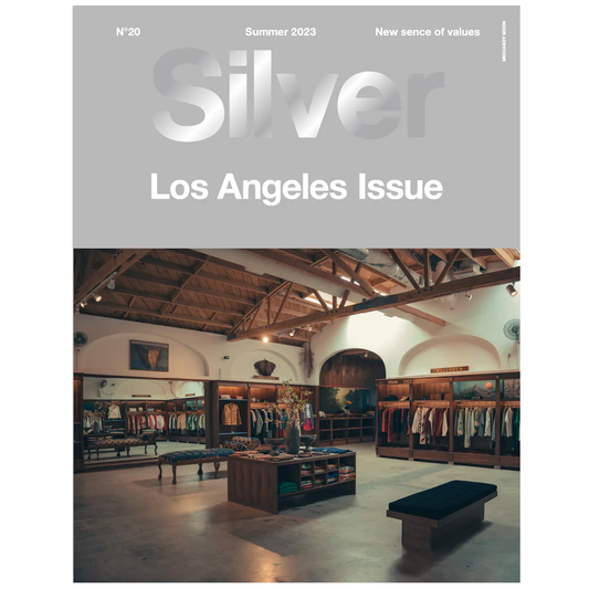 Silver Vol 20