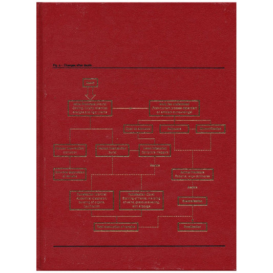 Theories, Models, Methods, Approaches, Assumptions, Results and Findings.