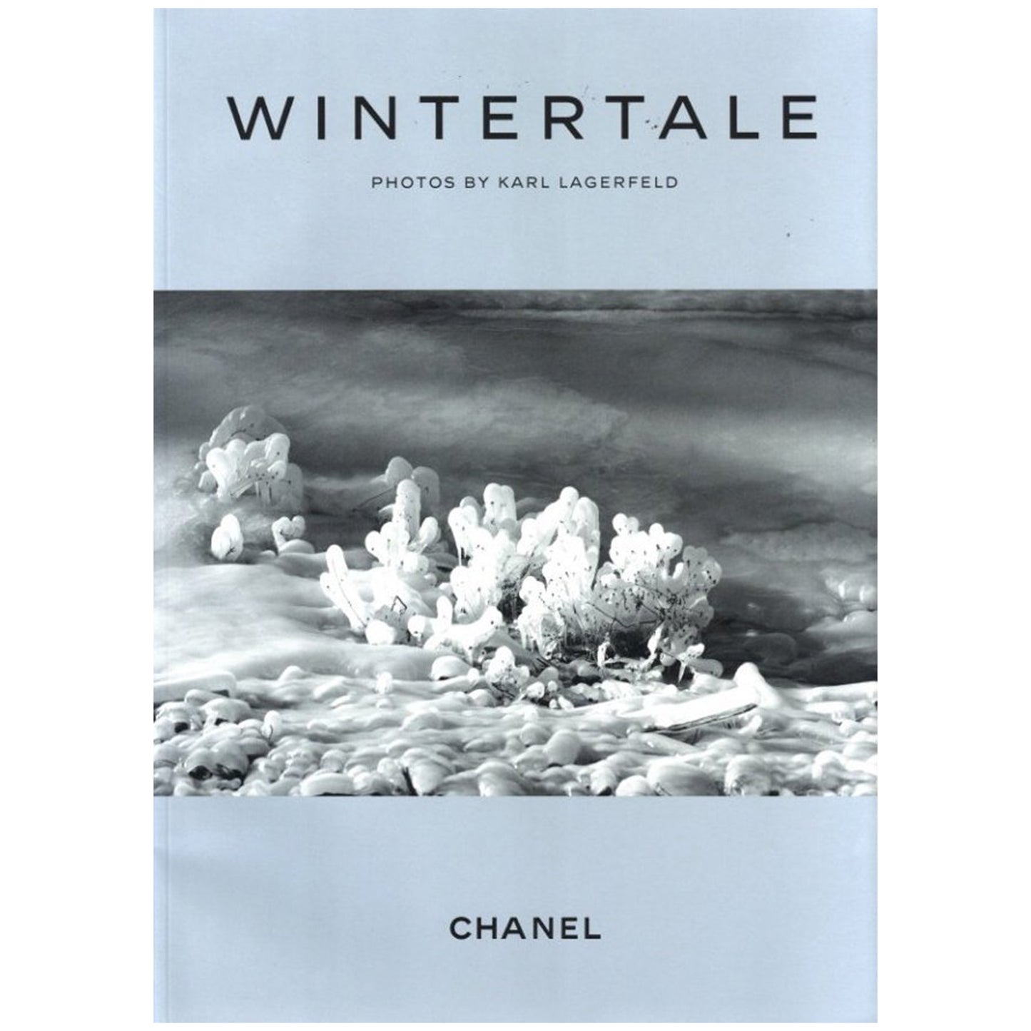 WINTERTALE CHANEL FALL-WINTER 2009/10