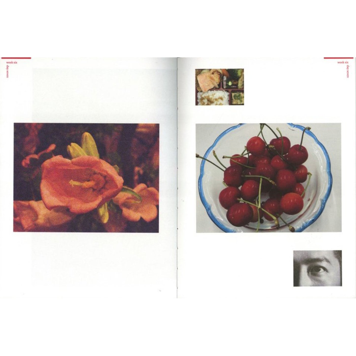 Nobuyoshi Araki Hi-Nikki(Non-Diary Diary)