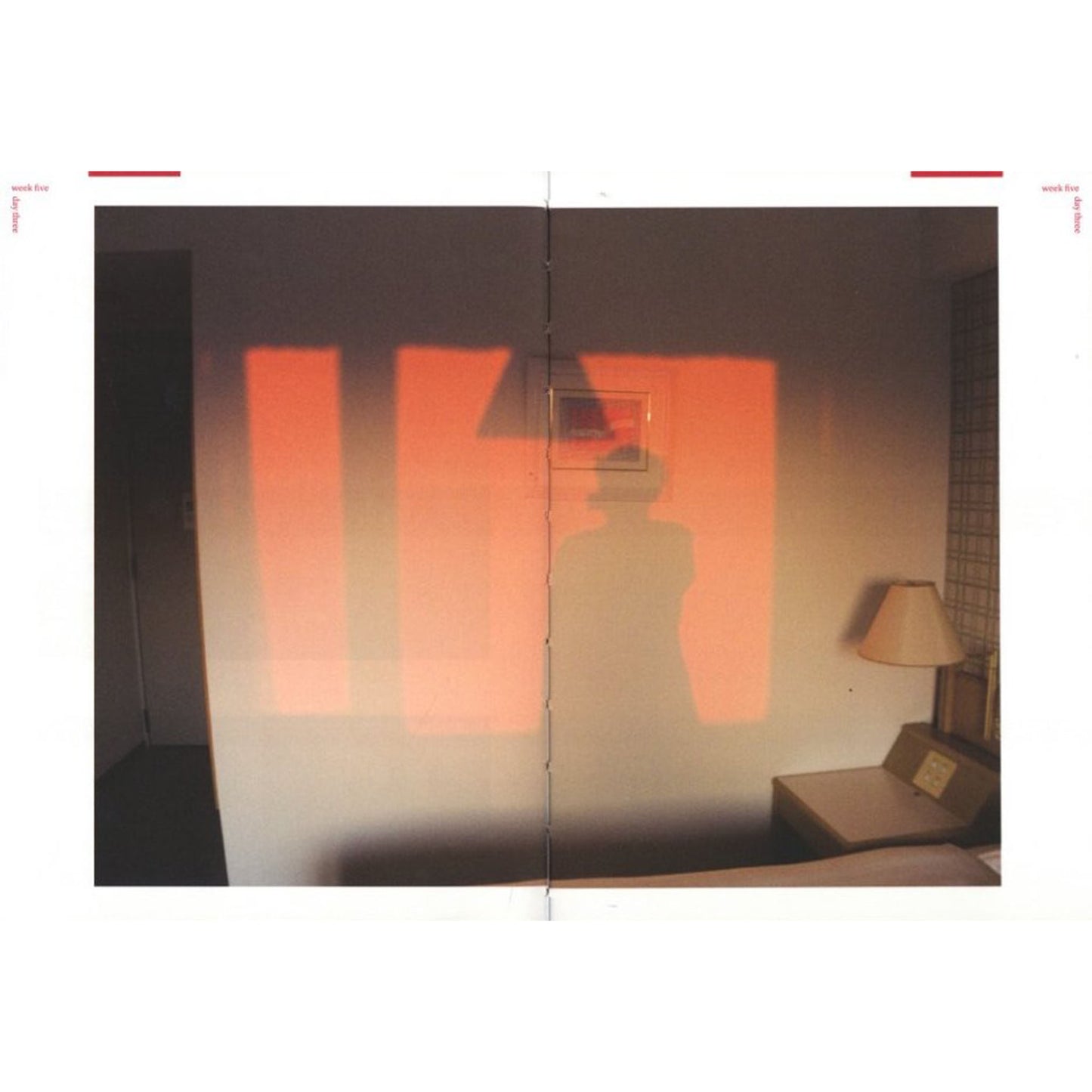 Nobuyoshi Araki Hi-Nikki(Non-Diary Diary)