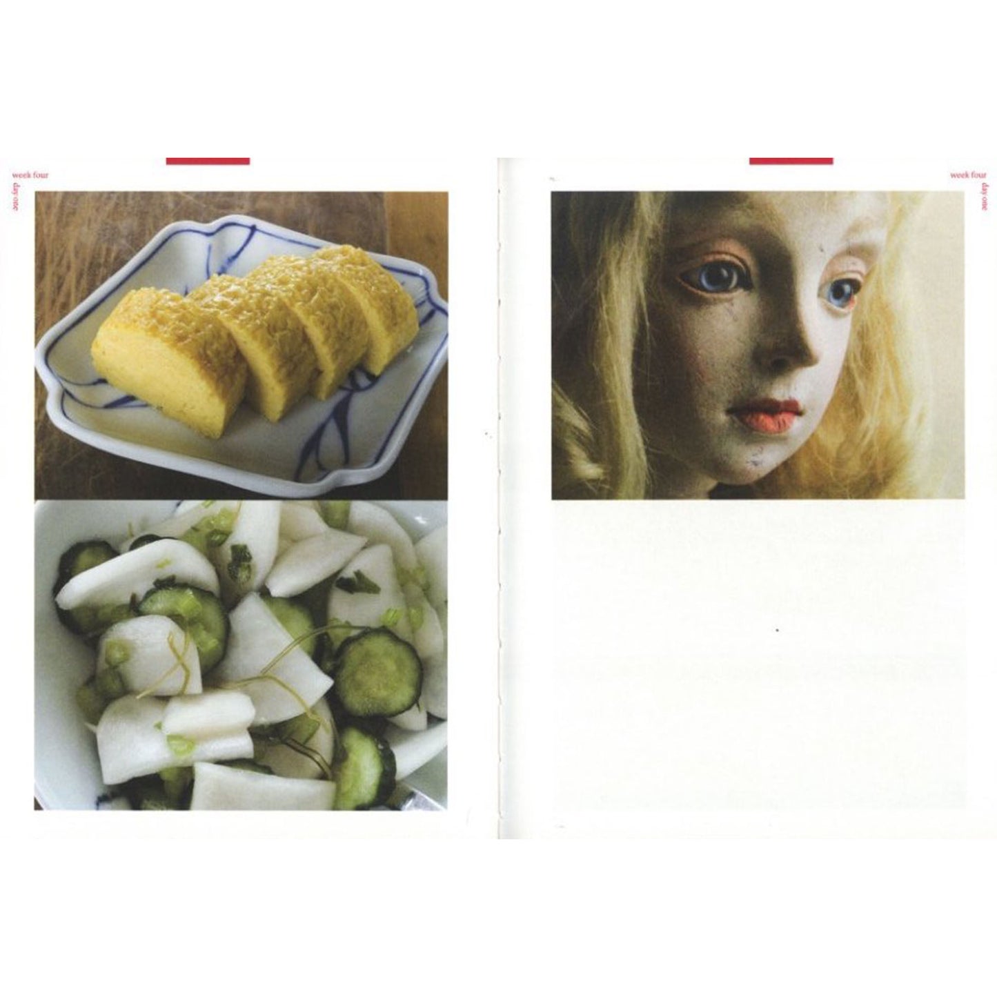 Nobuyoshi Araki Hi-Nikki(Non-Diary Diary)