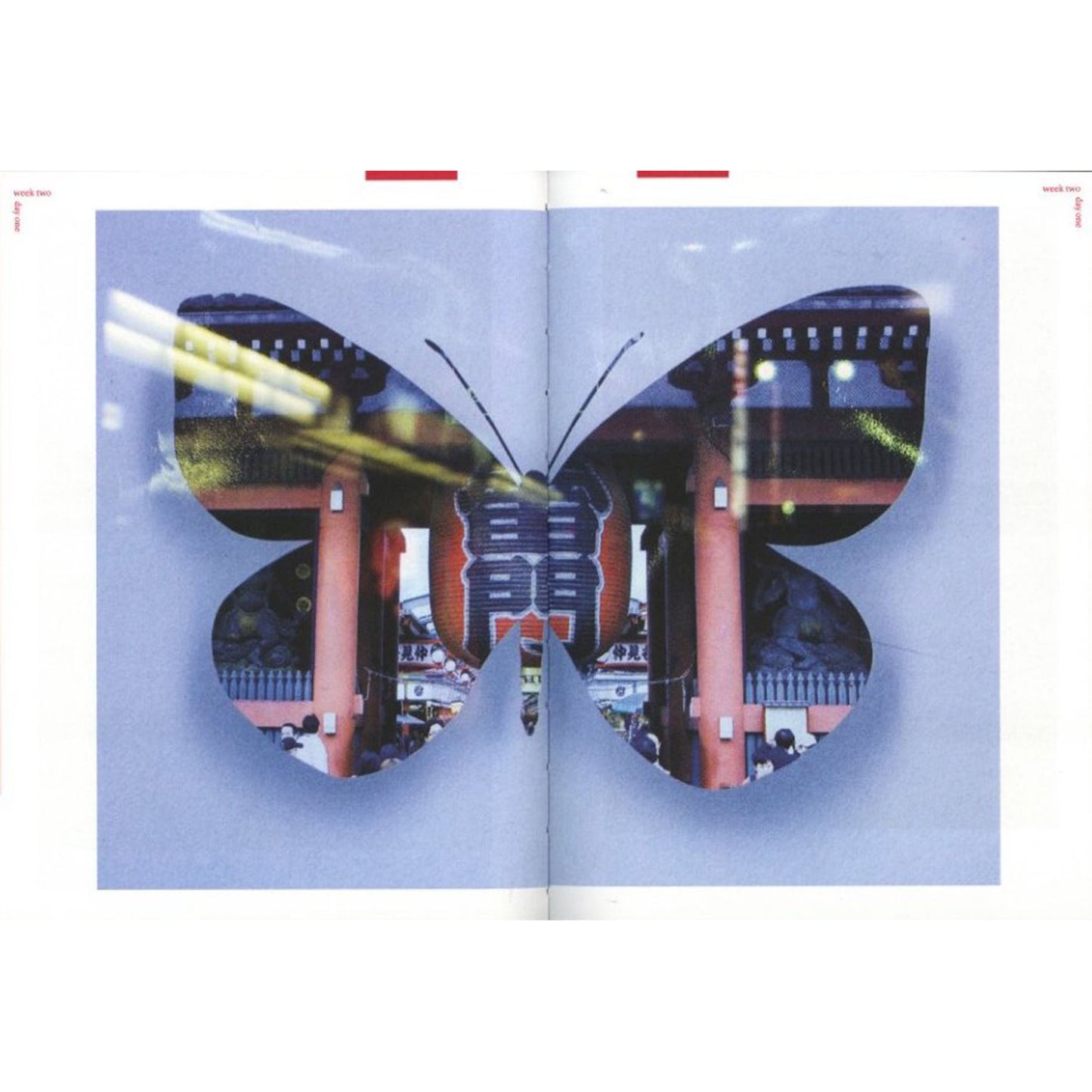 Nobuyoshi Araki Hi-Nikki(Non-Diary Diary)