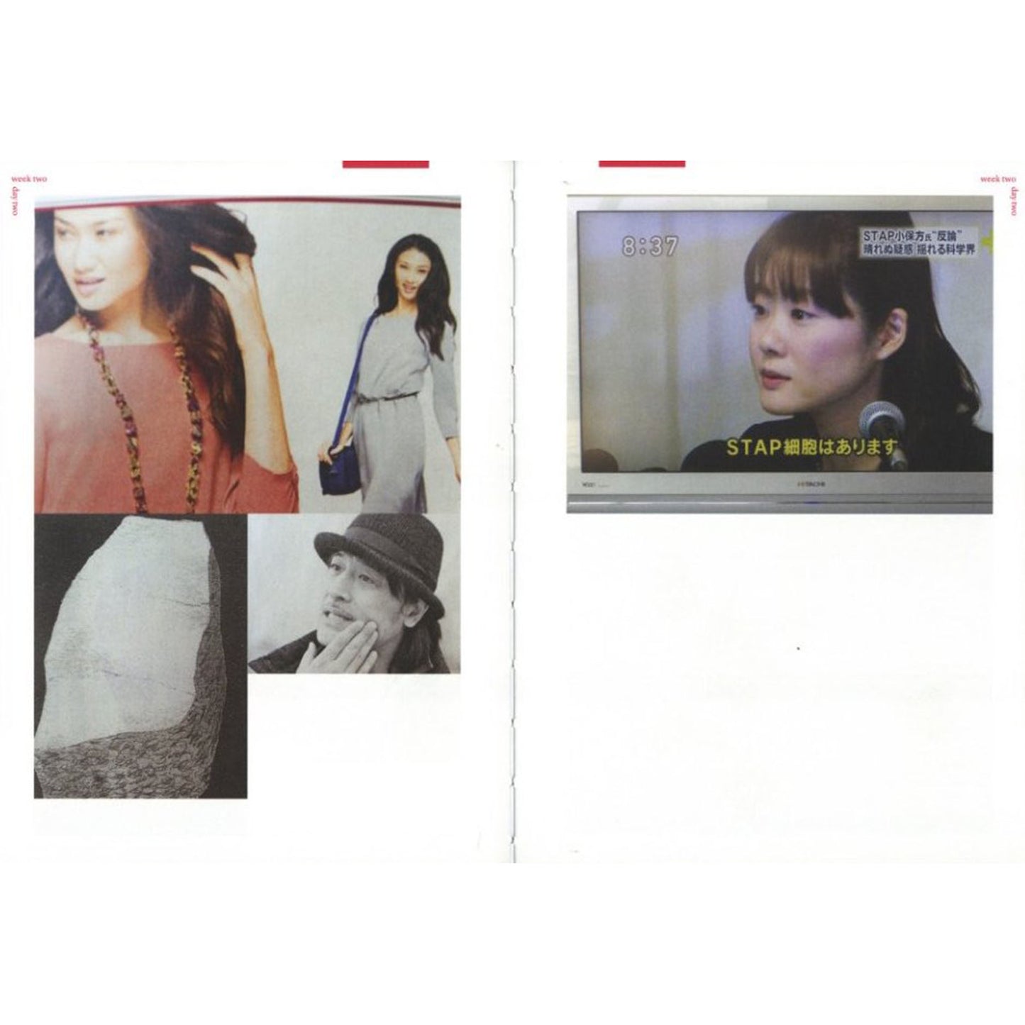 Nobuyoshi Araki Hi-Nikki(Non-Diary Diary)