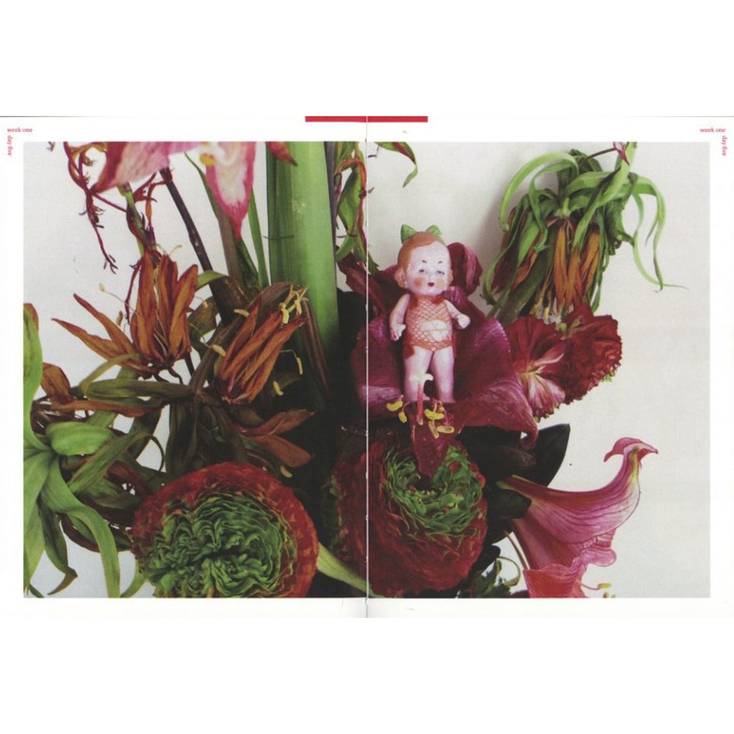 Nobuyoshi Araki Hi-Nikki(Non-Diary Diary)