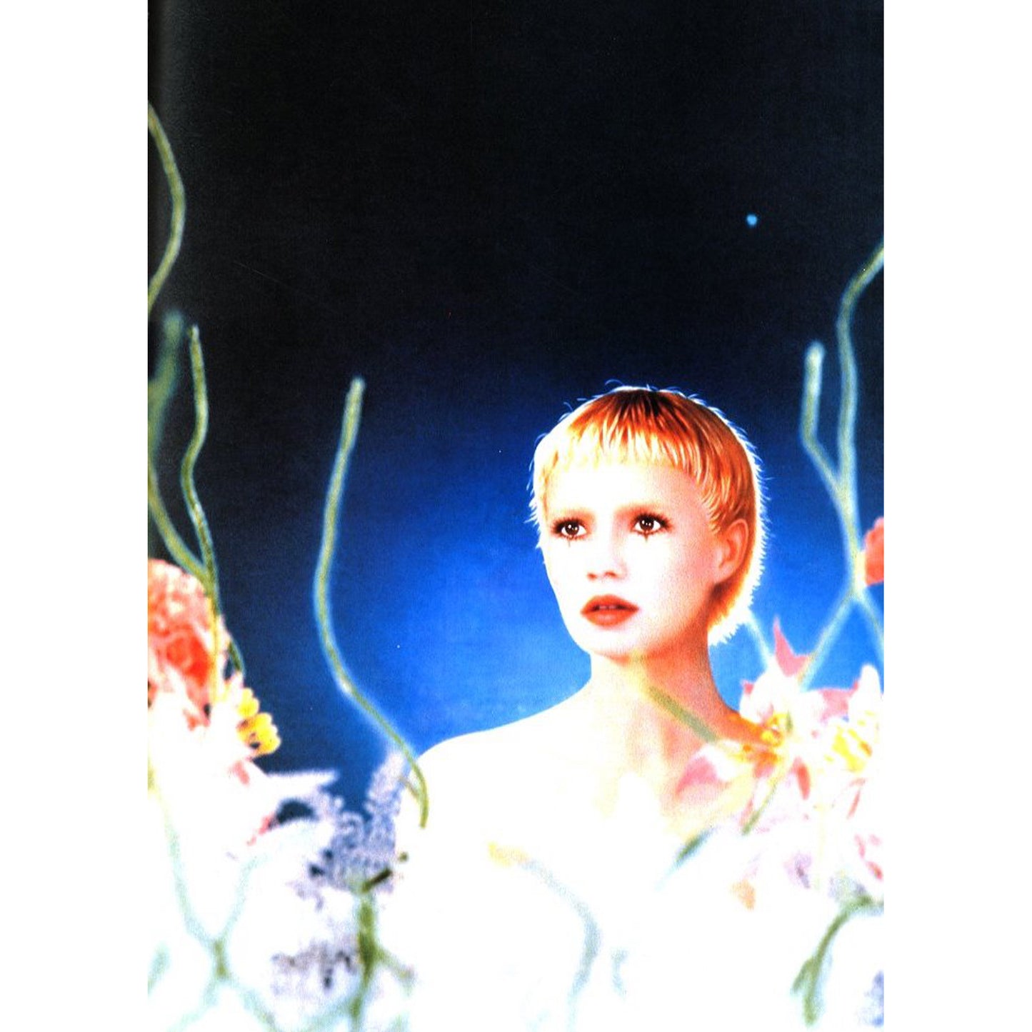 PIERRE et GILLES