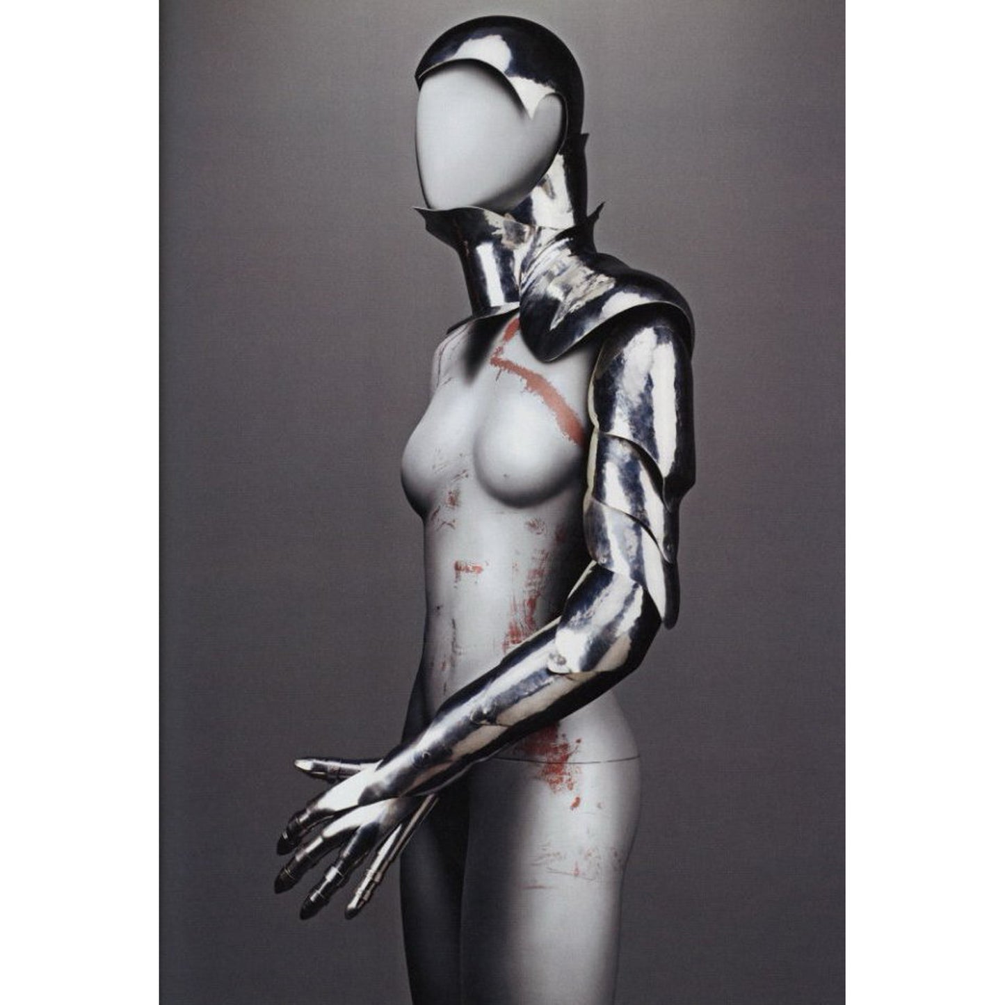 ALEXANDER McQUEEN  SAVAGE BEAUTY