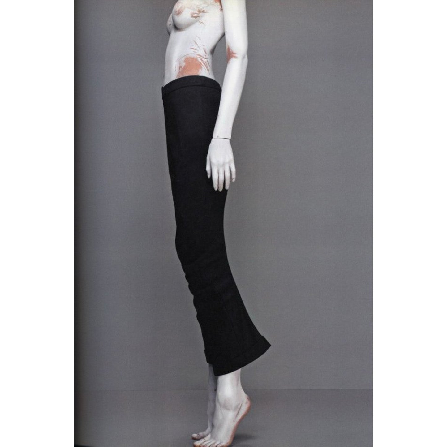 ALEXANDER McQUEEN  SAVAGE BEAUTY