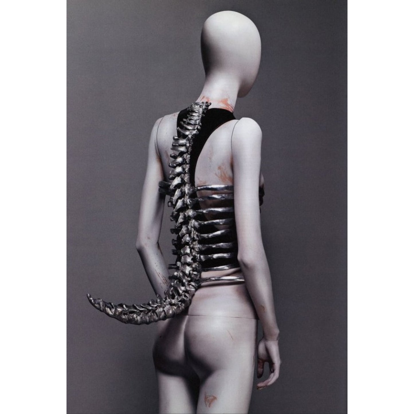 ALEXANDER McQUEEN  SAVAGE BEAUTY