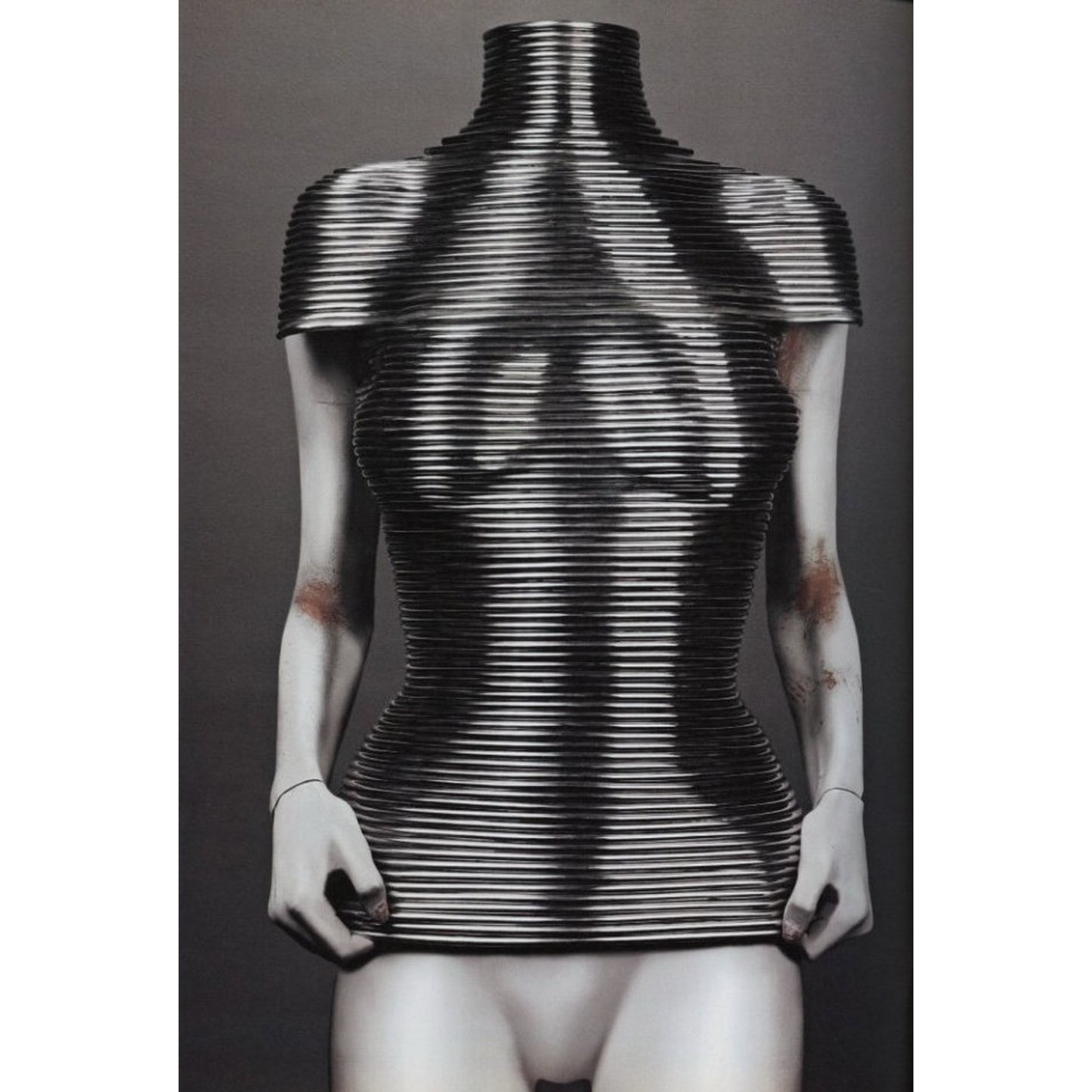 ALEXANDER McQUEEN  SAVAGE BEAUTY