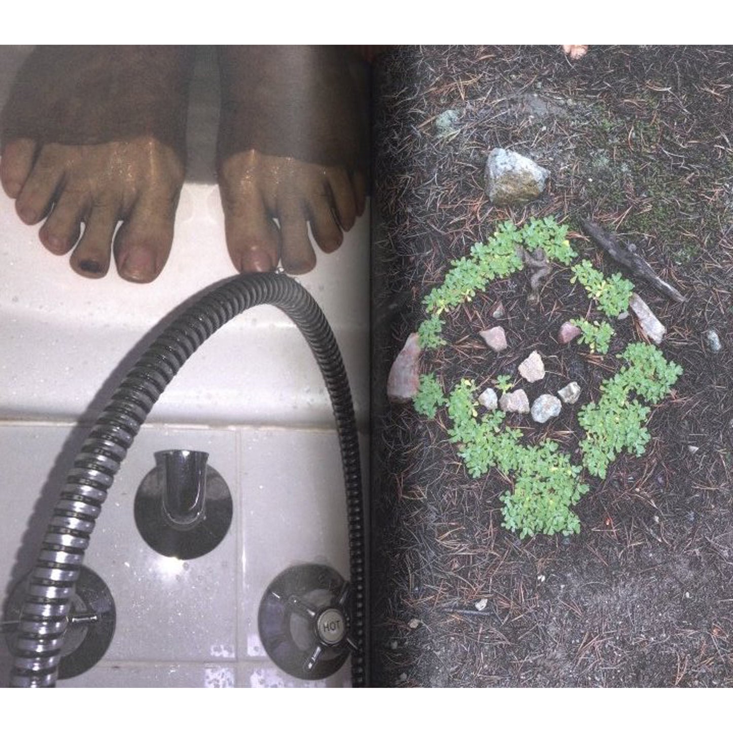 Colorado Distancing 09/03/2020 - 31/05/2020