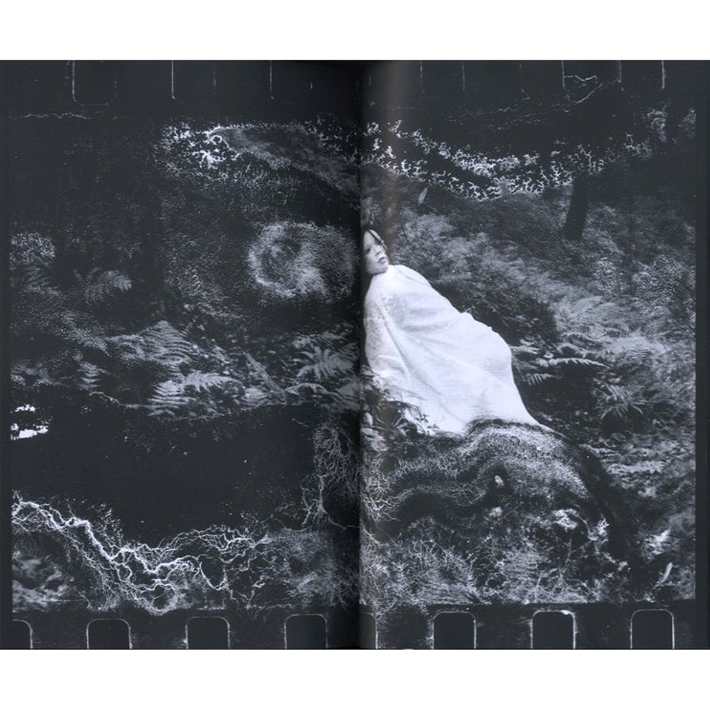 ユリイカ臨時増刊　総特集：荒木経惟