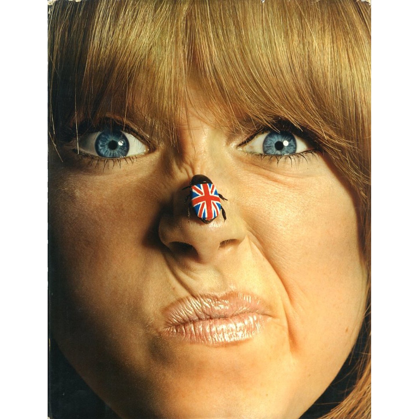 BIRDS OF BRITAIN