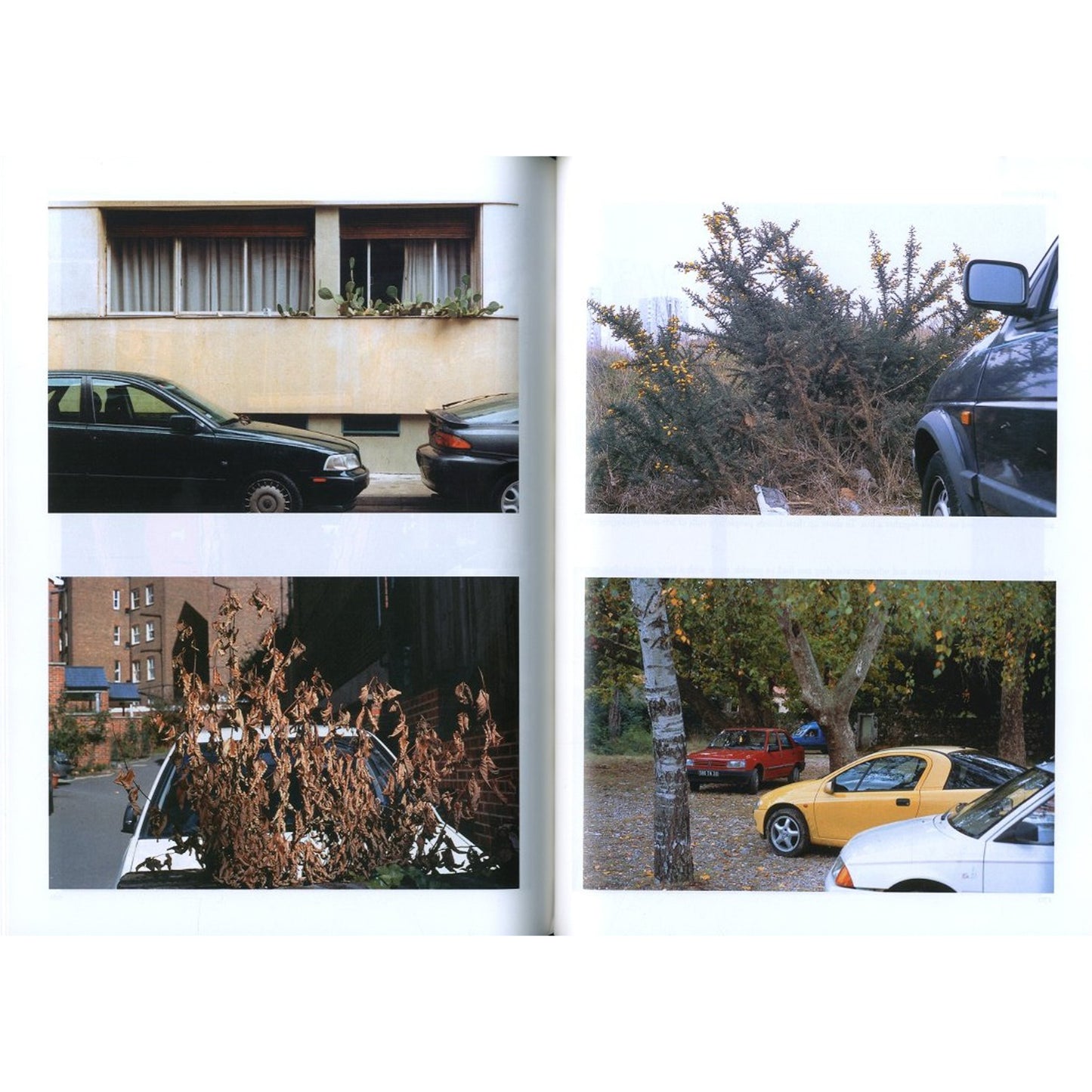 purple No.13 Fall 2002