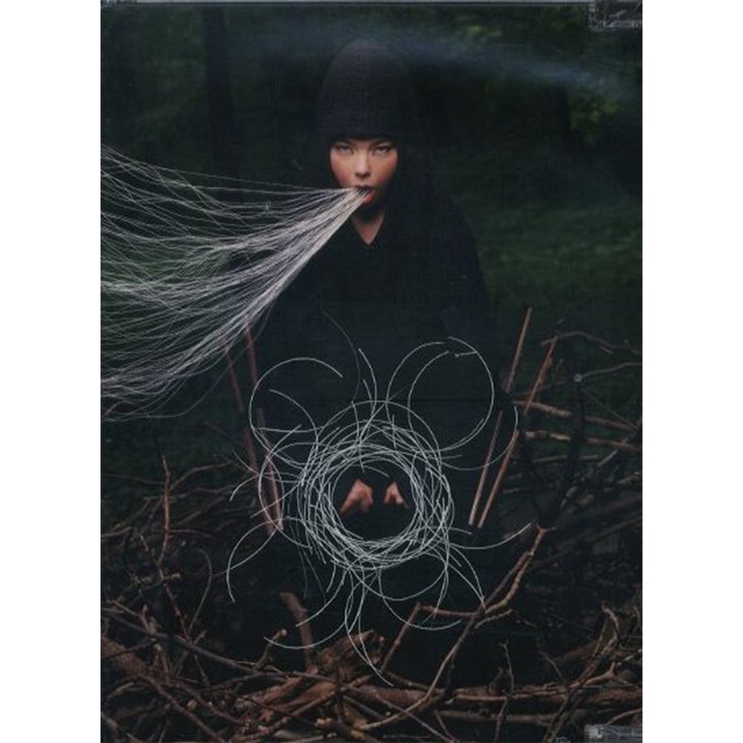 ビョーク　コンプリート・ヴォリューメン 1993-2003 グレイテスト・ヒッツ