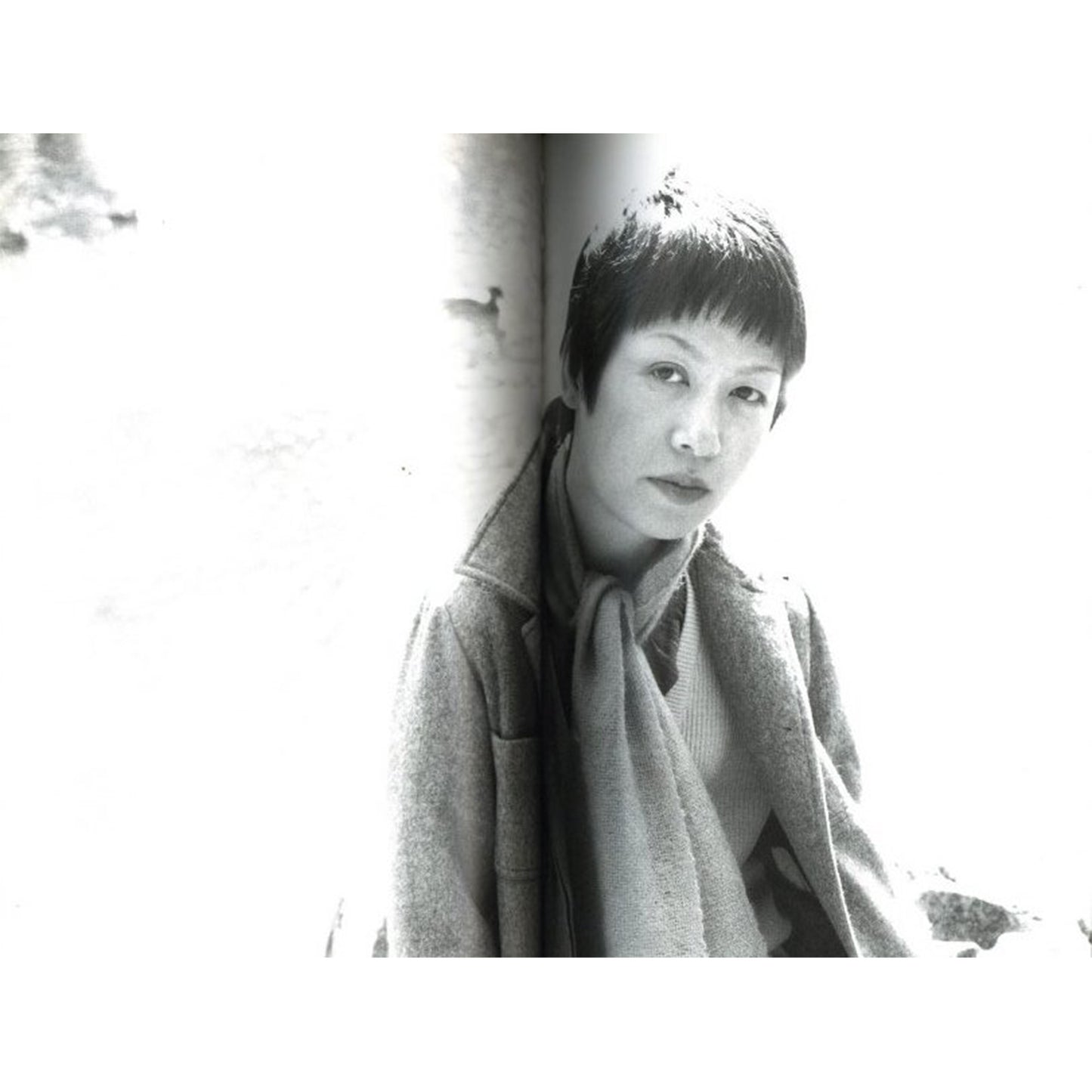 荒木経惟写真全集第3巻　陽子