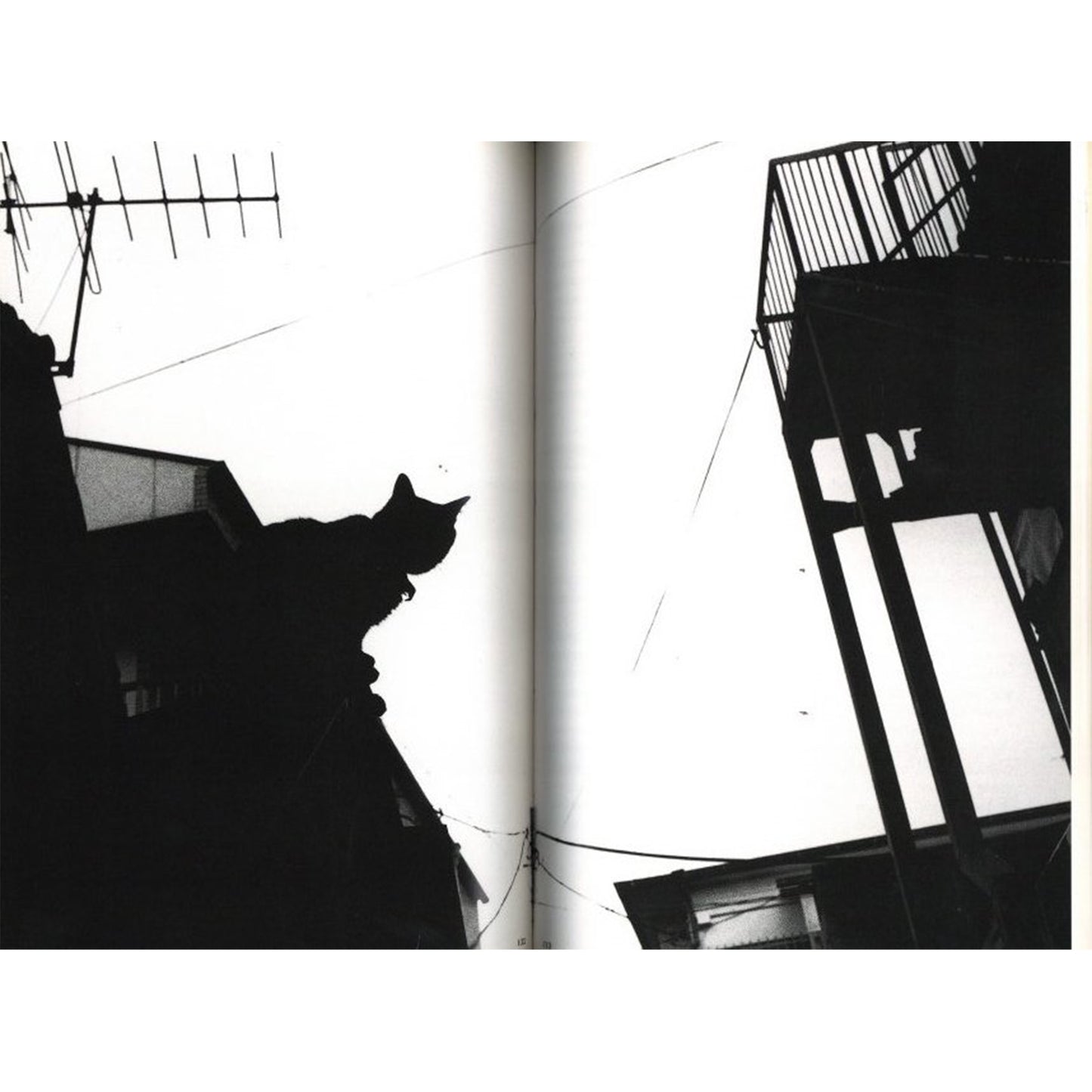 荒木経惟写真全集第10巻　チロとアラーキーと2人のおんな