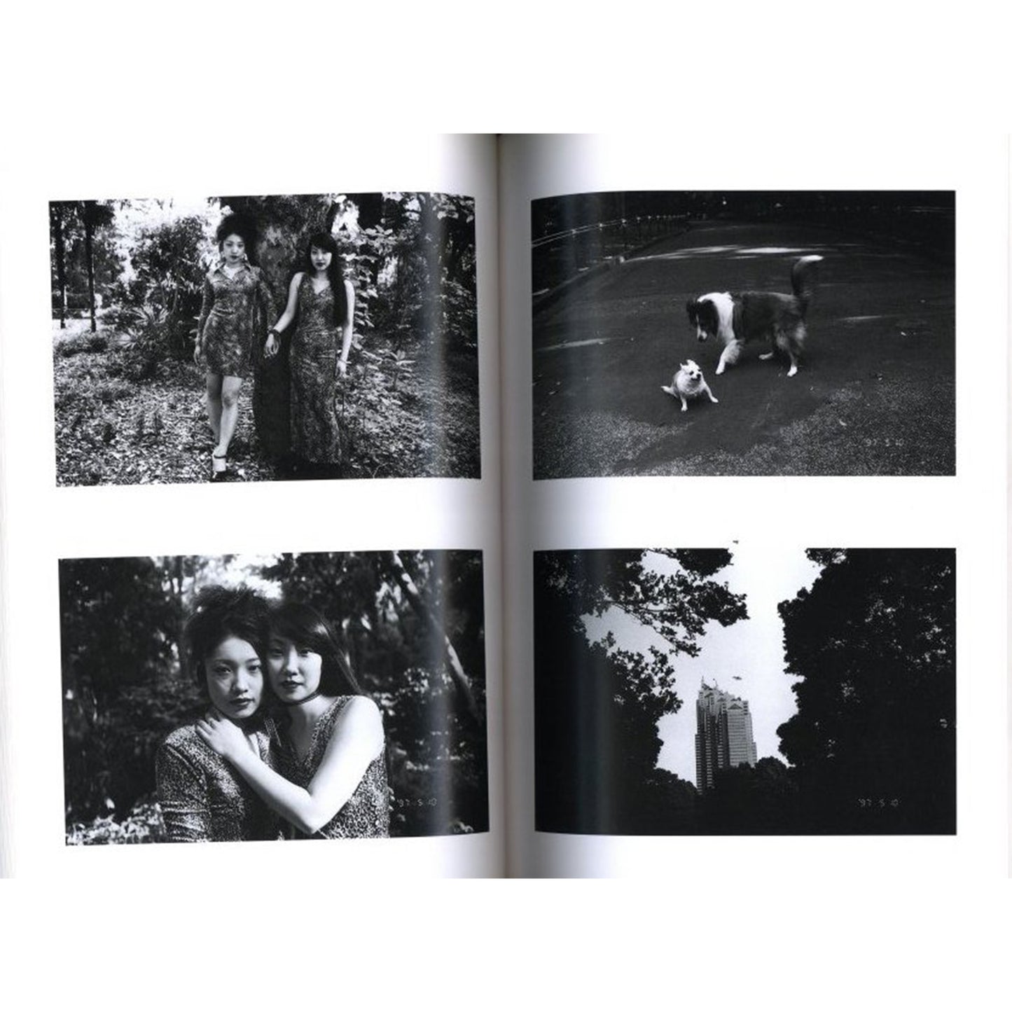 荒木経惟写真全集第20巻　センチメンタルな5月