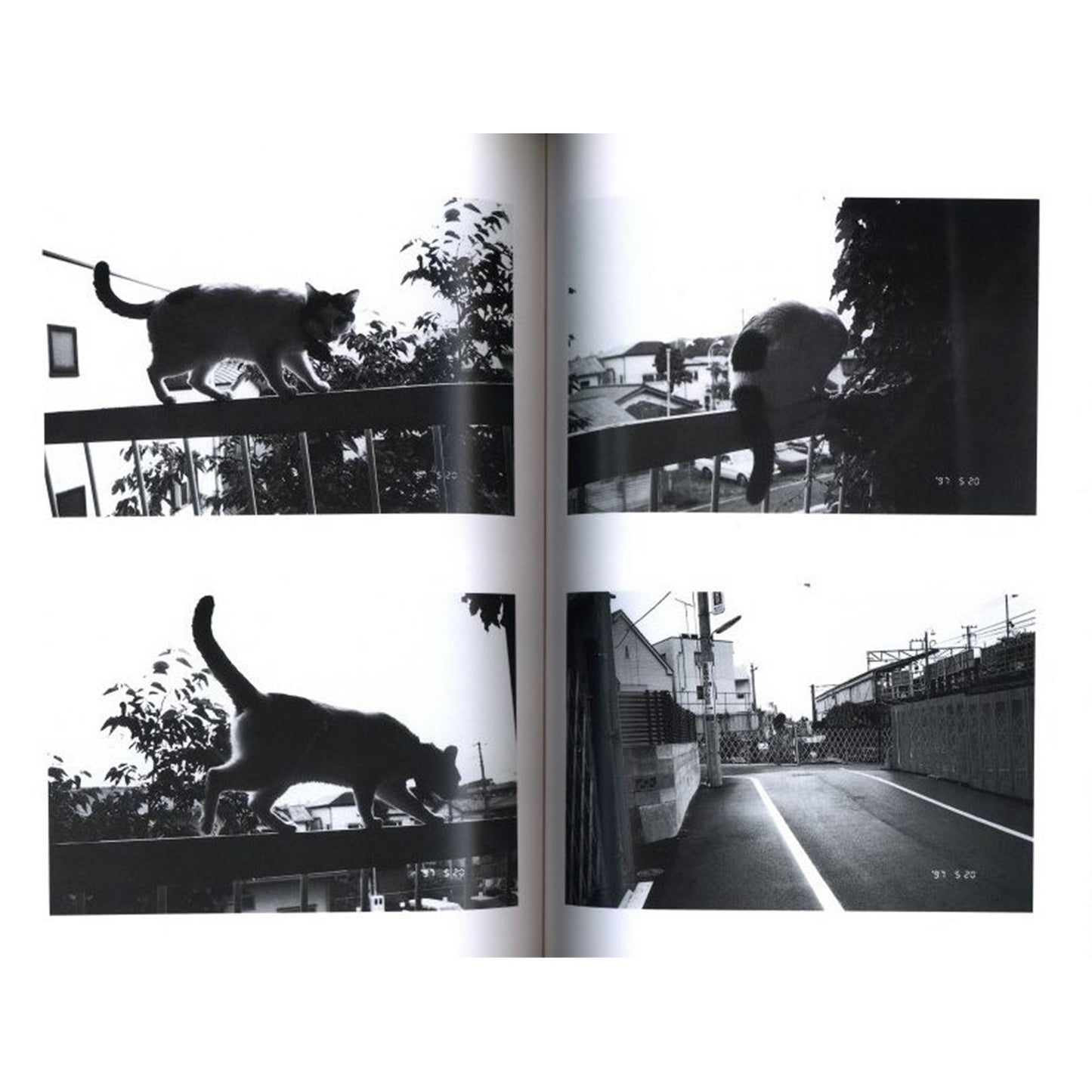 荒木経惟写真全集第20巻　センチメンタルな5月