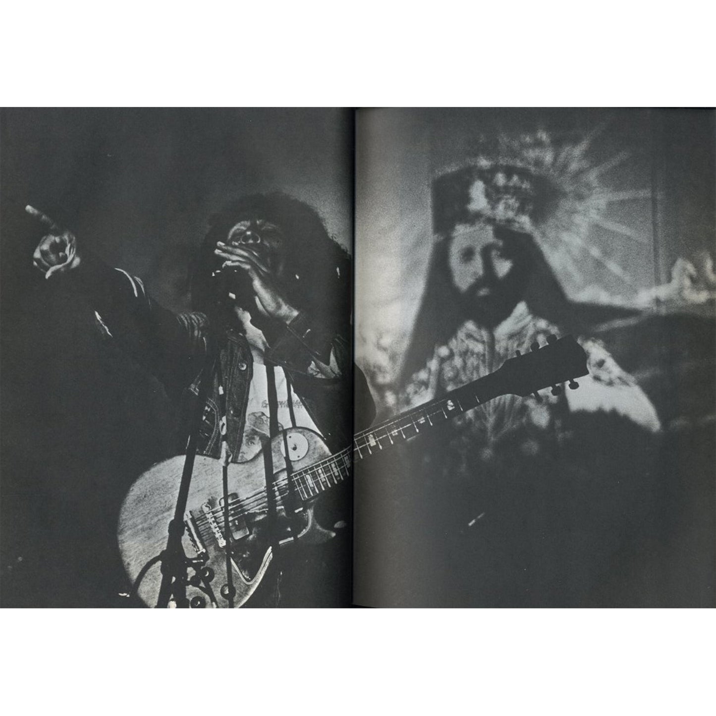 レゲエ・ブラッドライン　第三世界ジャマイカ、その音楽、風土、文化、時代の変遷