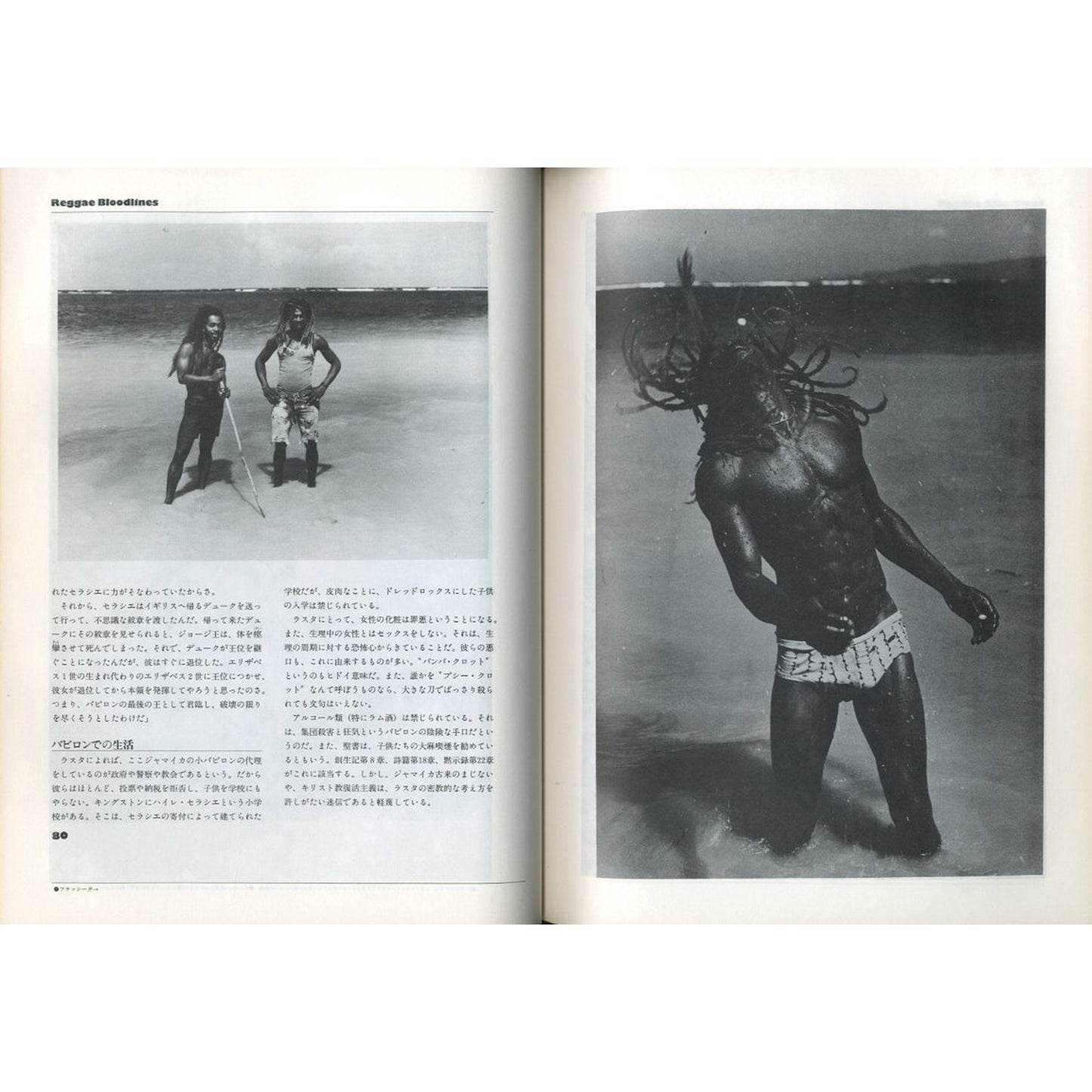 レゲエ・ブラッドライン　第三世界ジャマイカ、その音楽、風土、文化、時代の変遷