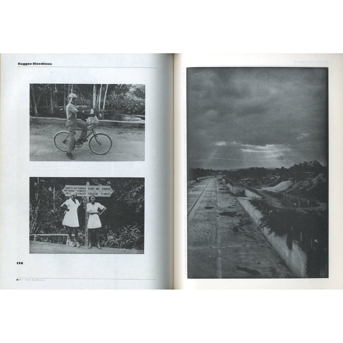 レゲエ・ブラッドライン　第三世界ジャマイカ、その音楽、風土、文化、時代の変遷