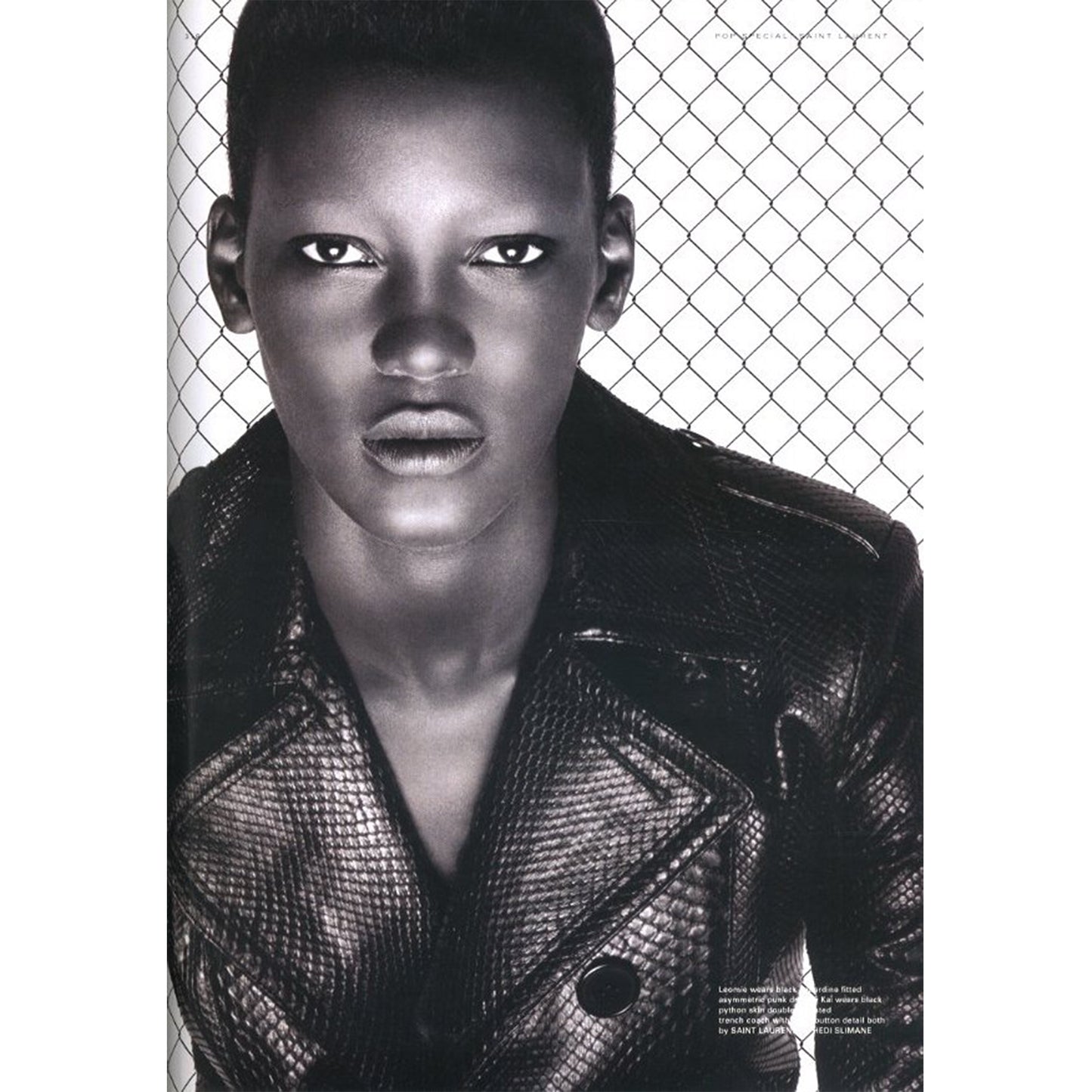 POP MAGAZINE Issue 33 Autumn/Winter 2015