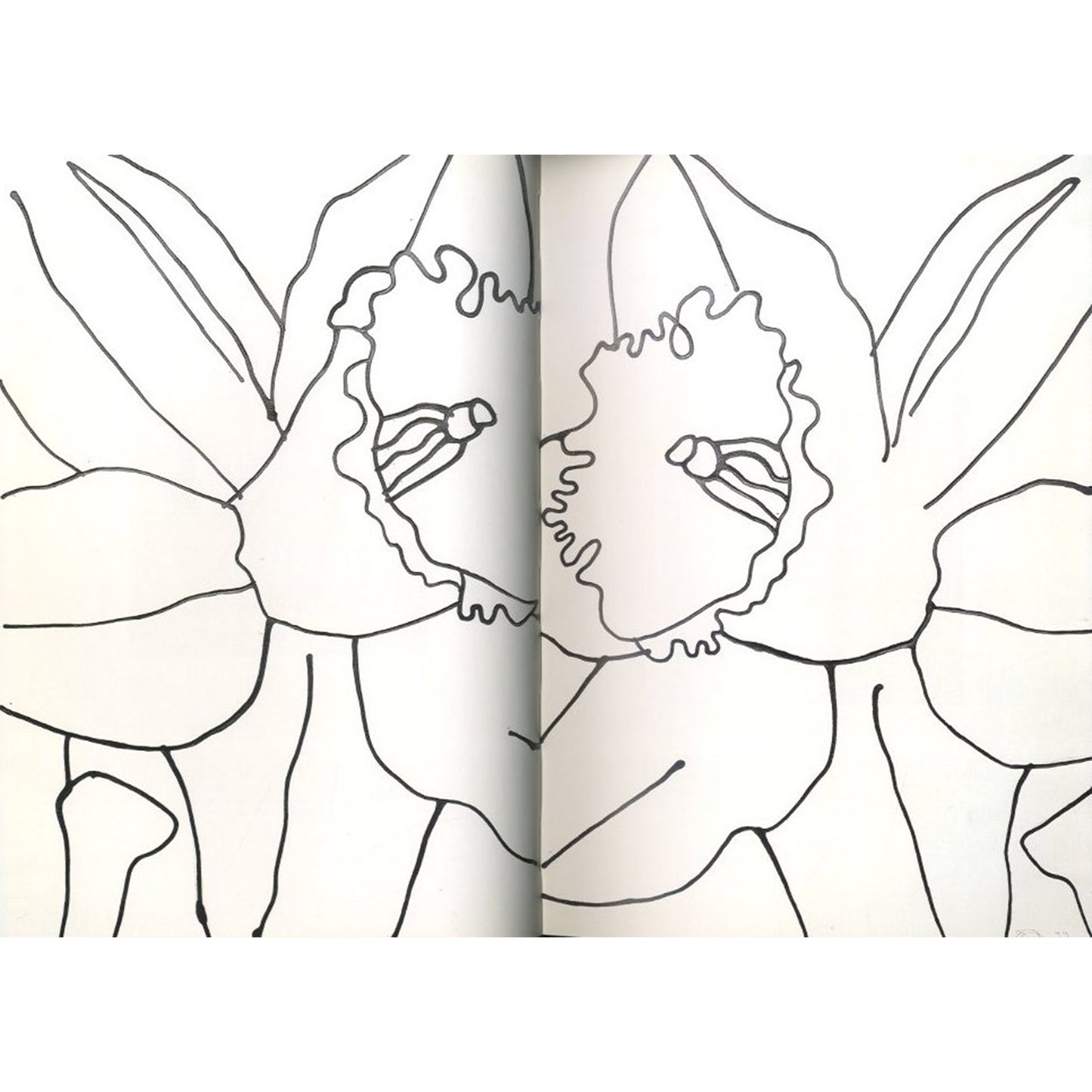 The Bird Has A Yellow Beak