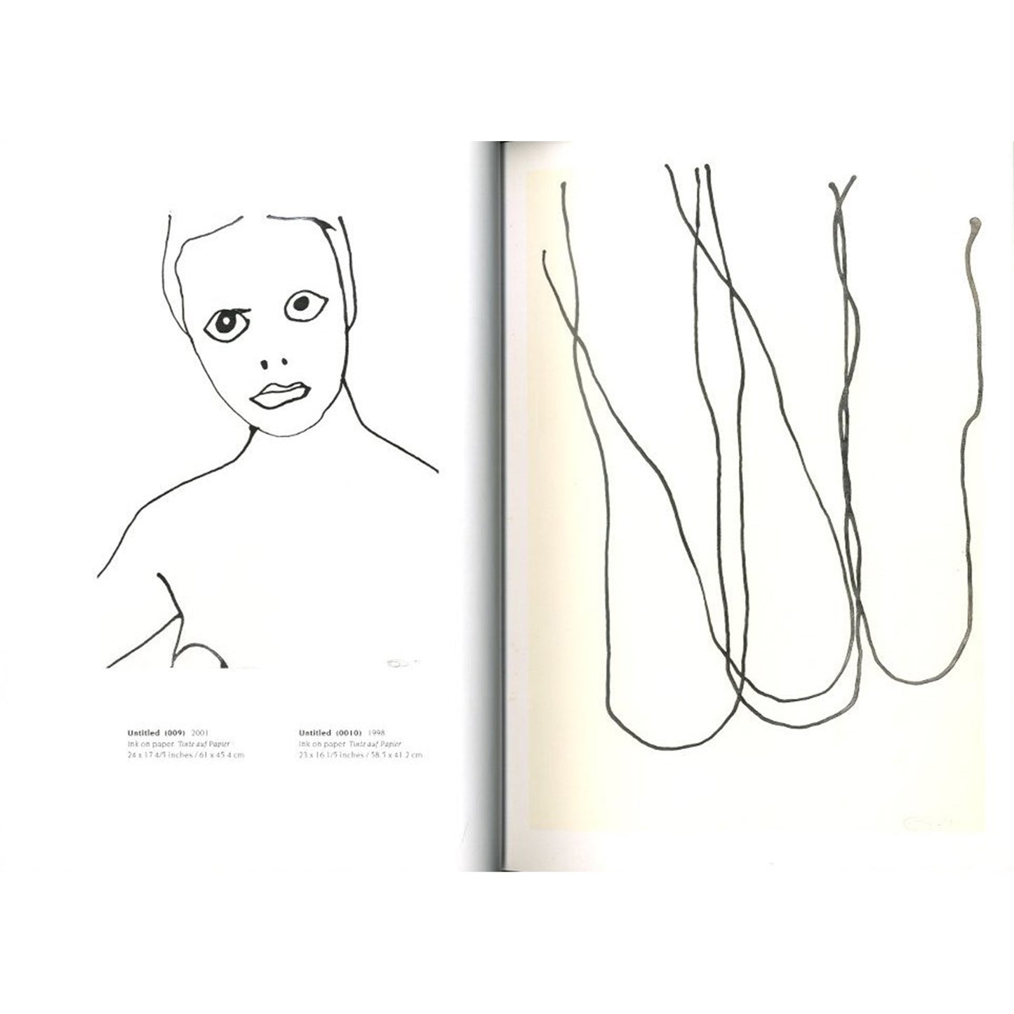 The Bird Has A Yellow Beak