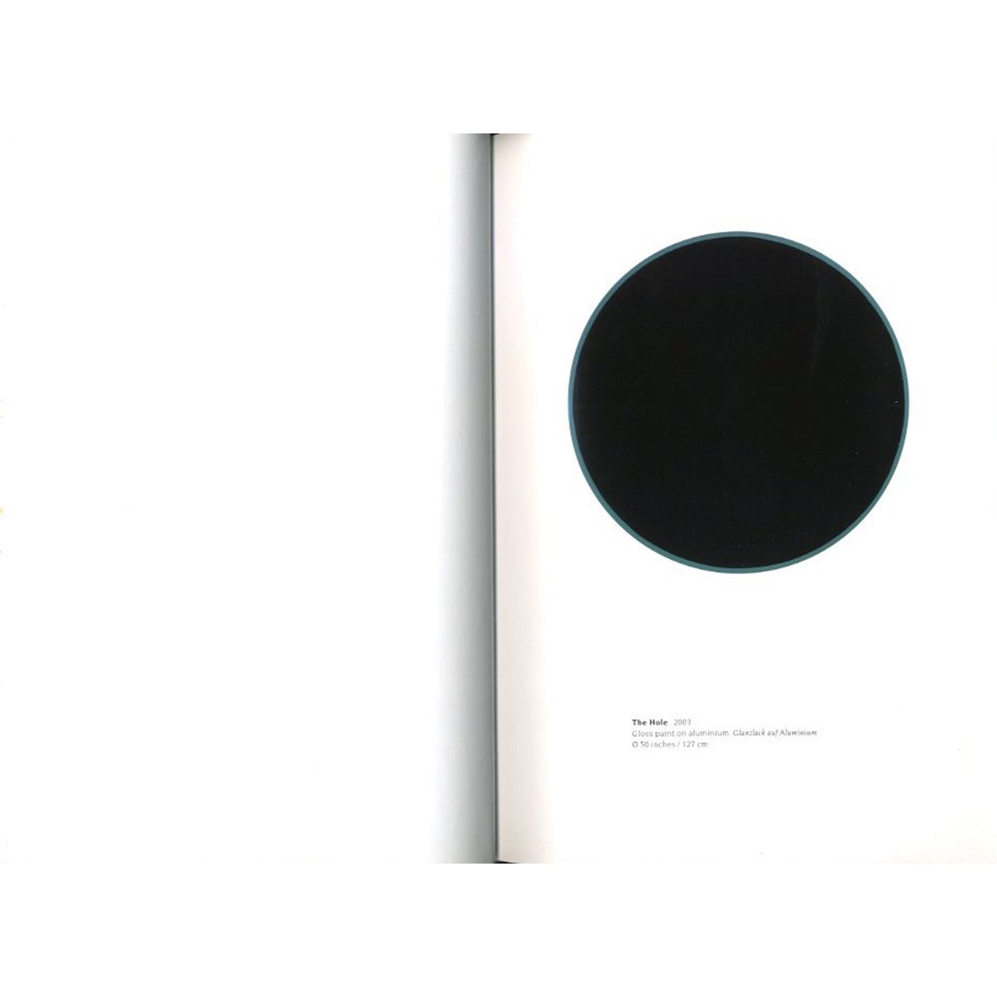 The Bird Has A Yellow Beak