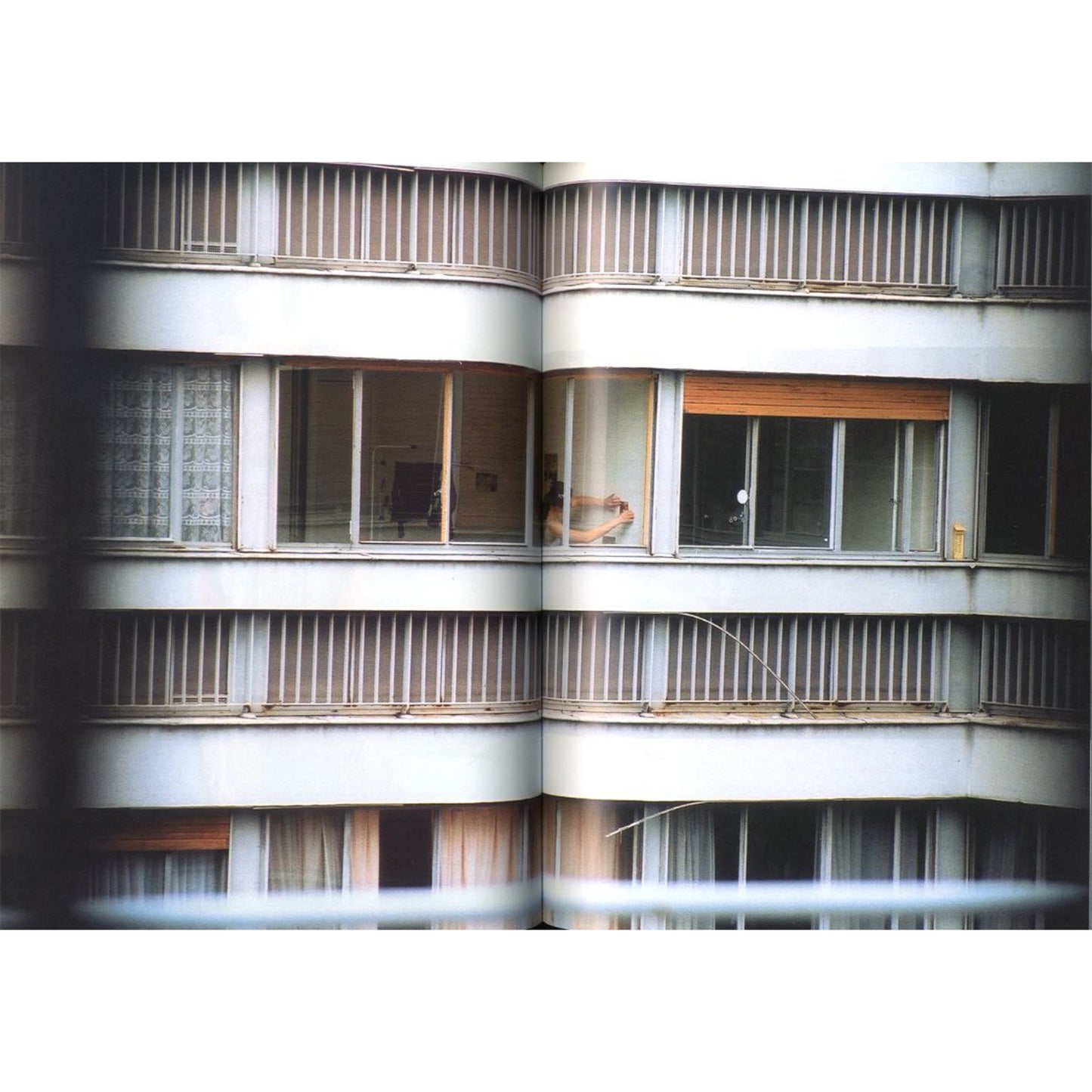 purple no.11 Spring 2002