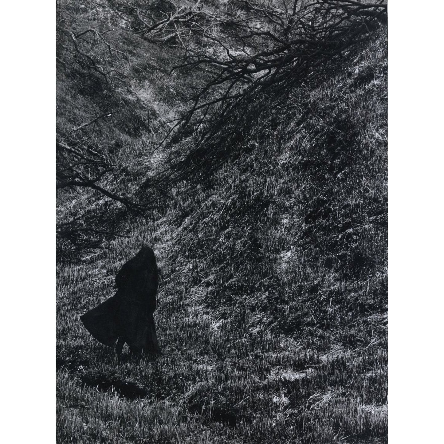 YOHJI YAMAMOTO POUR HOMME 2023-24 Autumn Winter