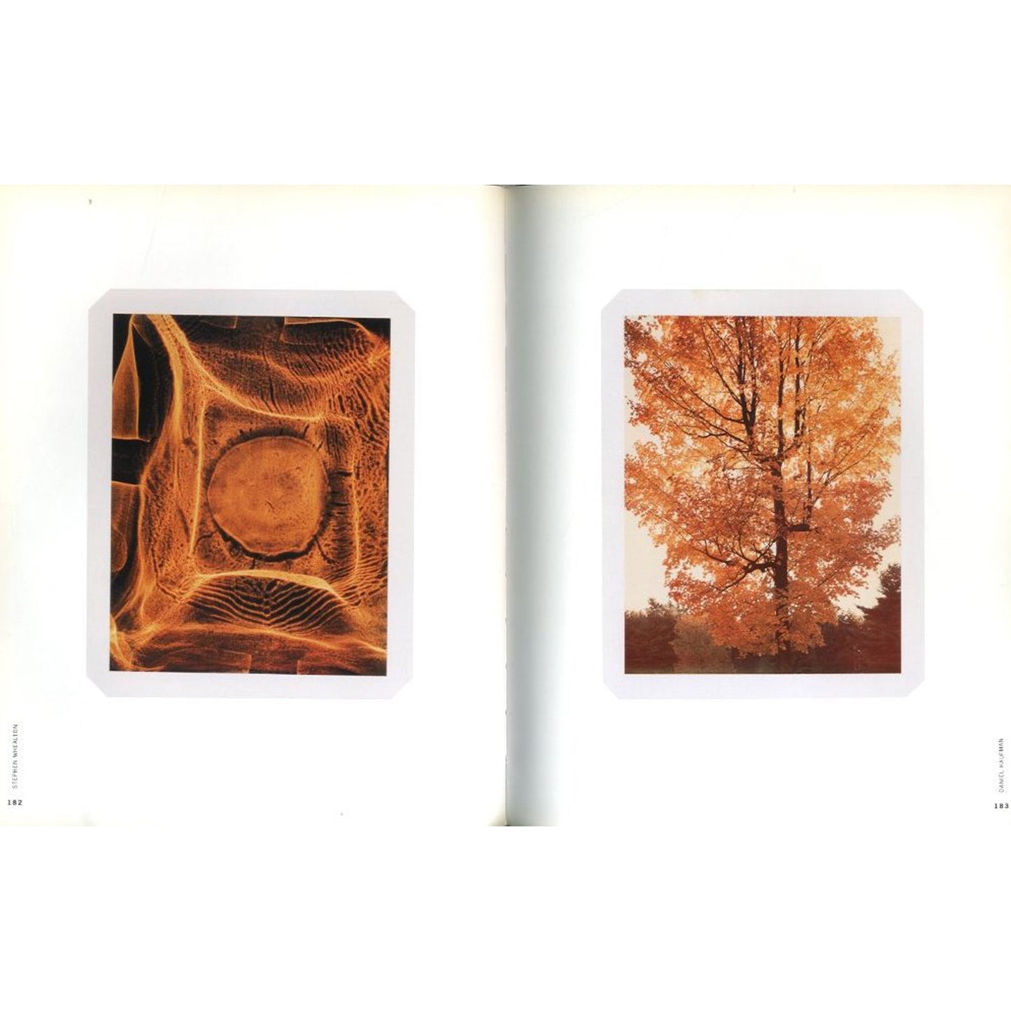 The Polaroid Book