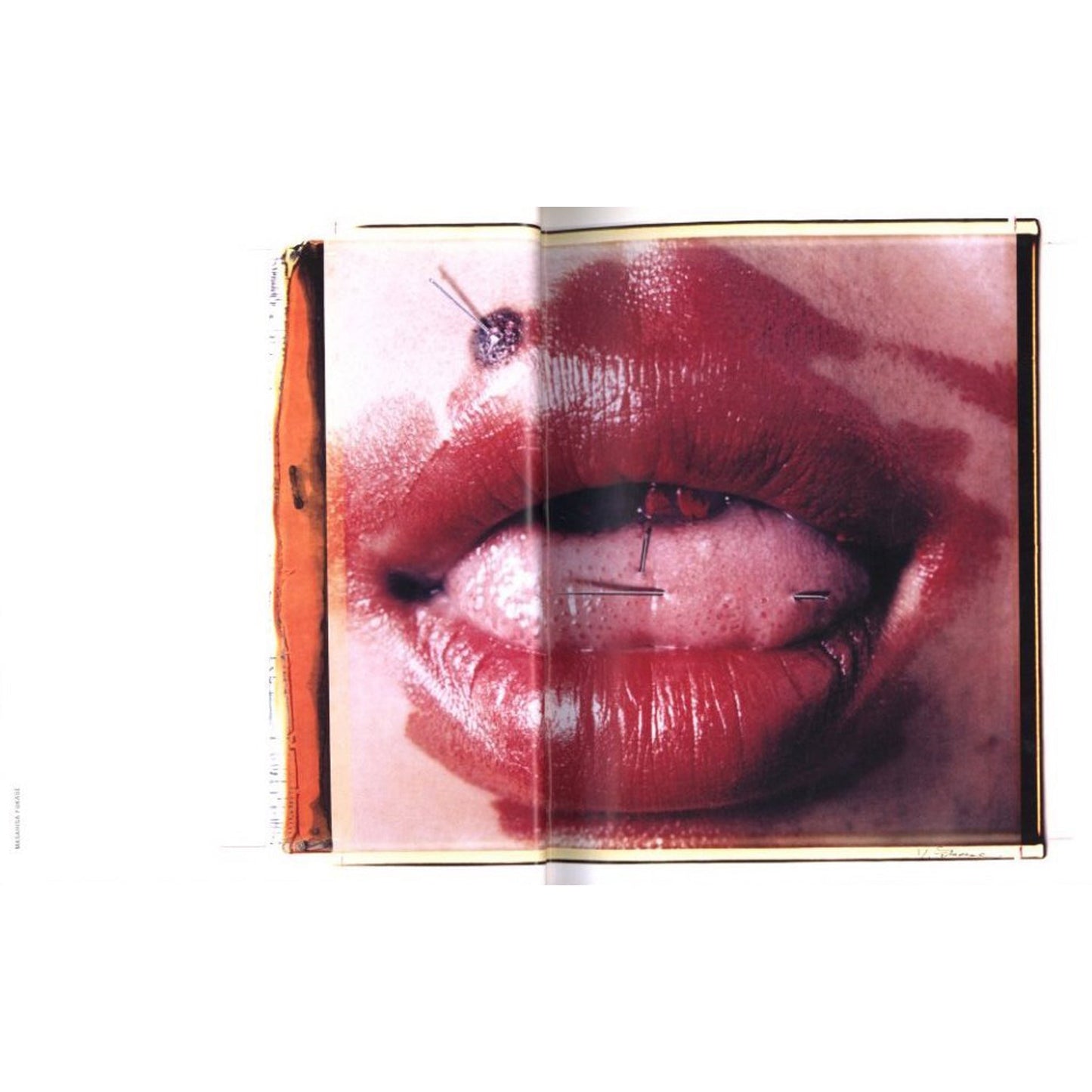 The Polaroid Book