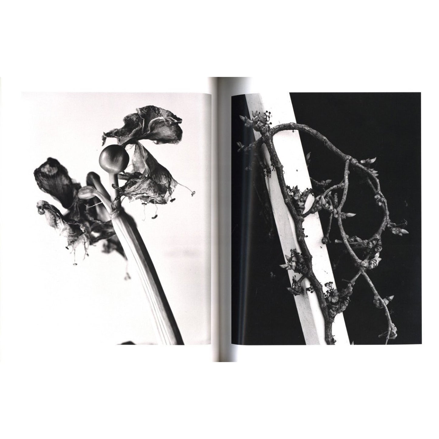 déjà-vu［デジャ＝ヴュ］ No.4 1991年4月号 特集：荒木経惟