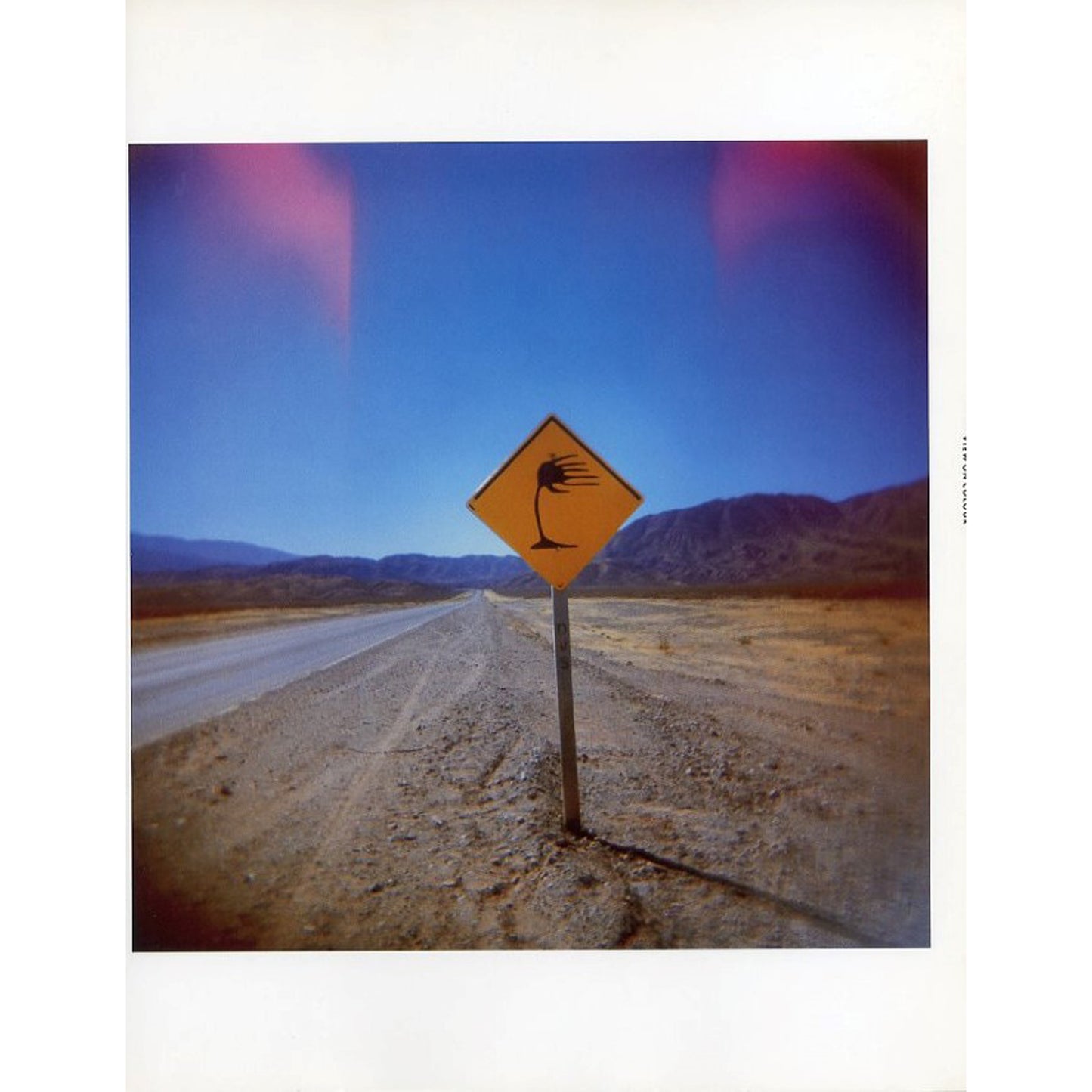 VIEW ON COLOUR 29: ON SABBATICAL March 2005 ISSUE No.29