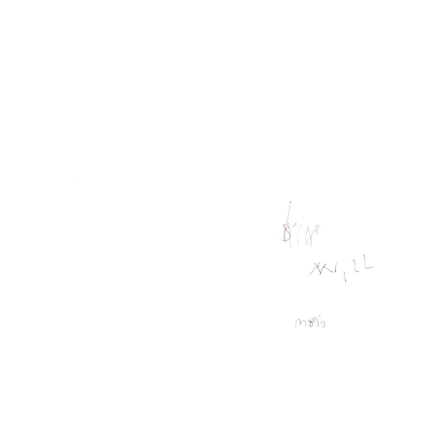 マーク・ボスウィック　オリジナルプリント・ポラロイド2枚セット