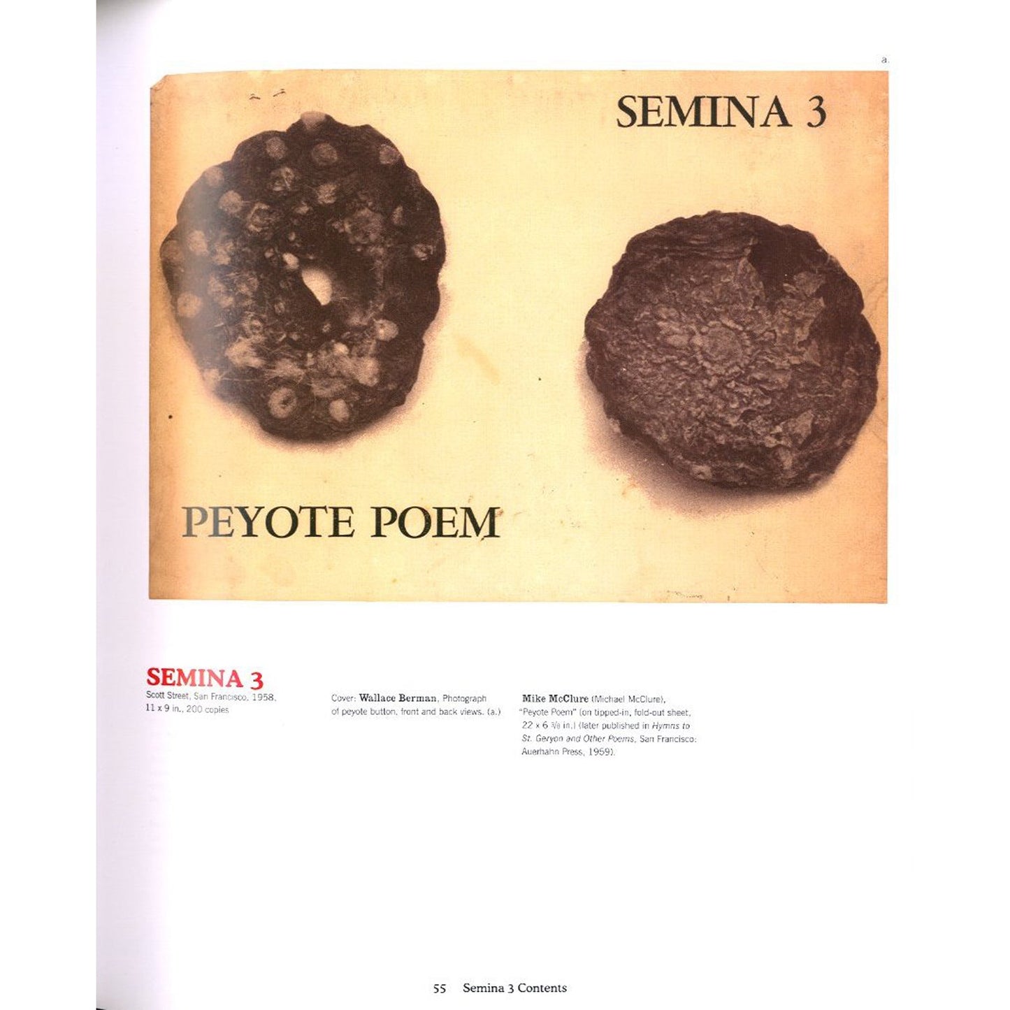 SEMINA CULTURE Wallace Berman & His Circle