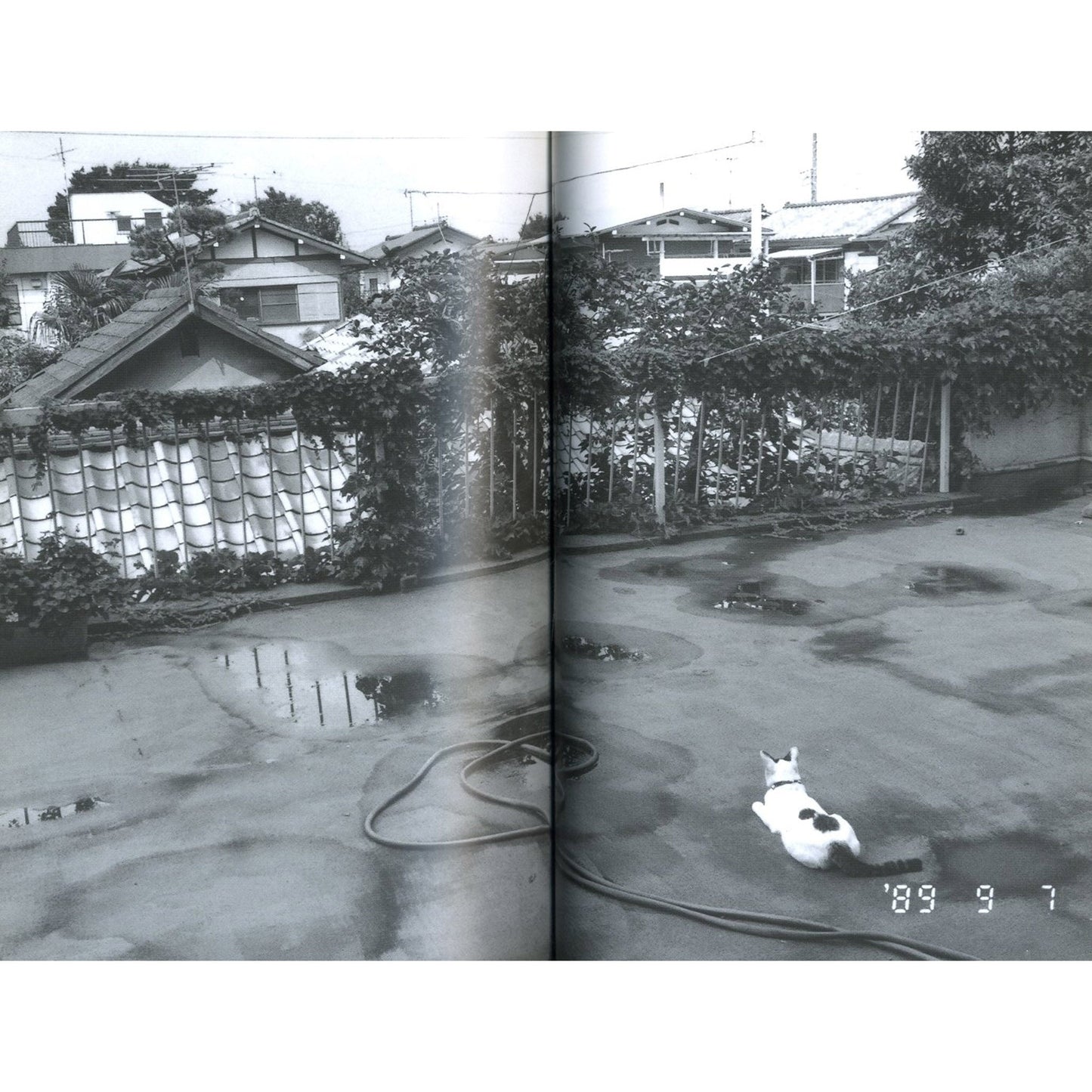 愛のバルコニー