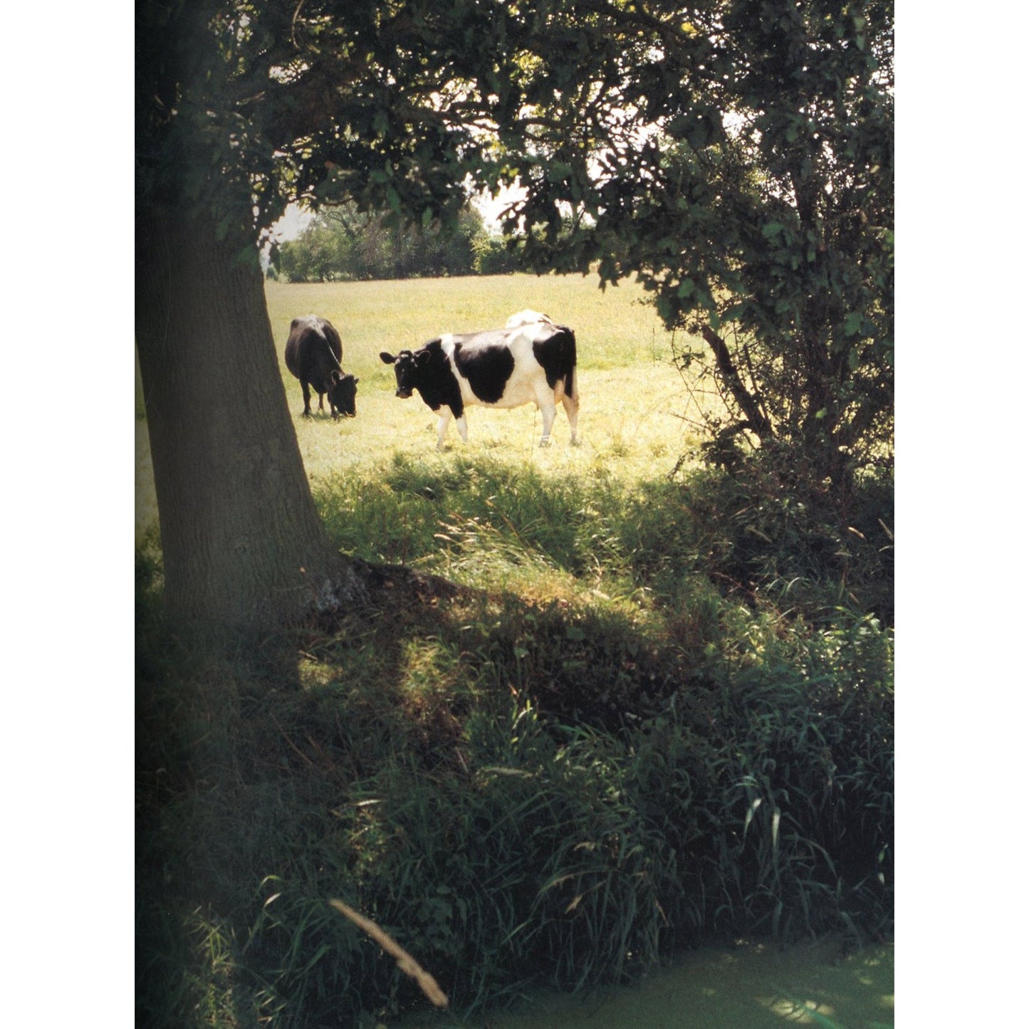 A WALK ACROSS ENGLAND