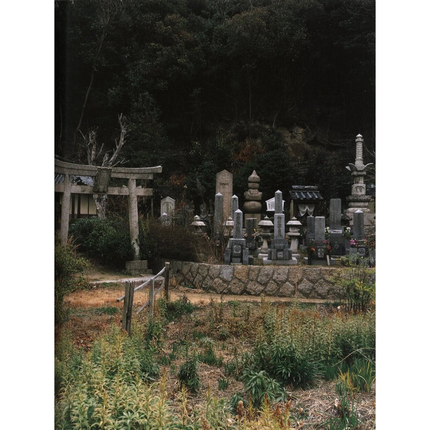PHOTOGRAPHS OF ART HOUSE PROJECT IN NAOSHIMA