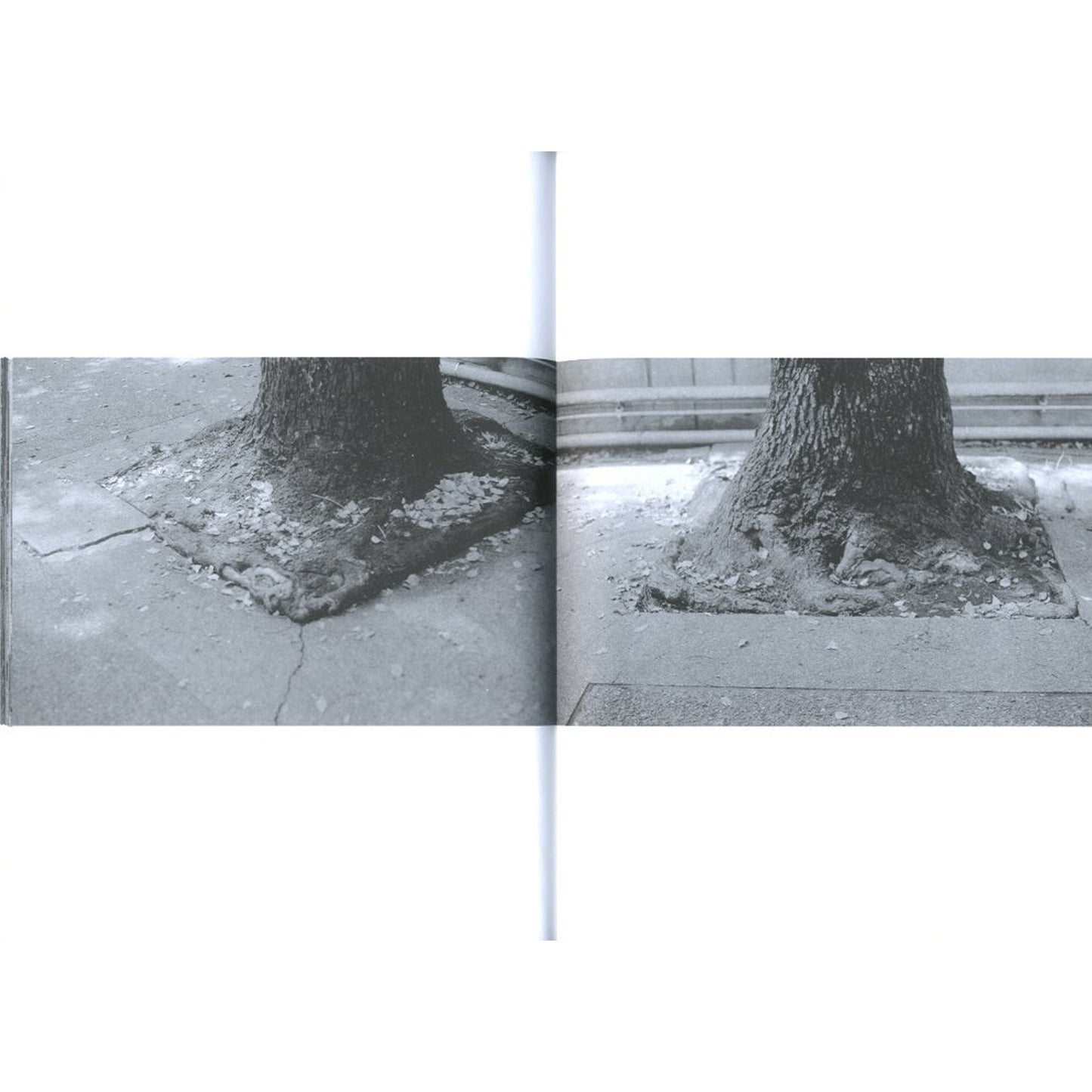 root