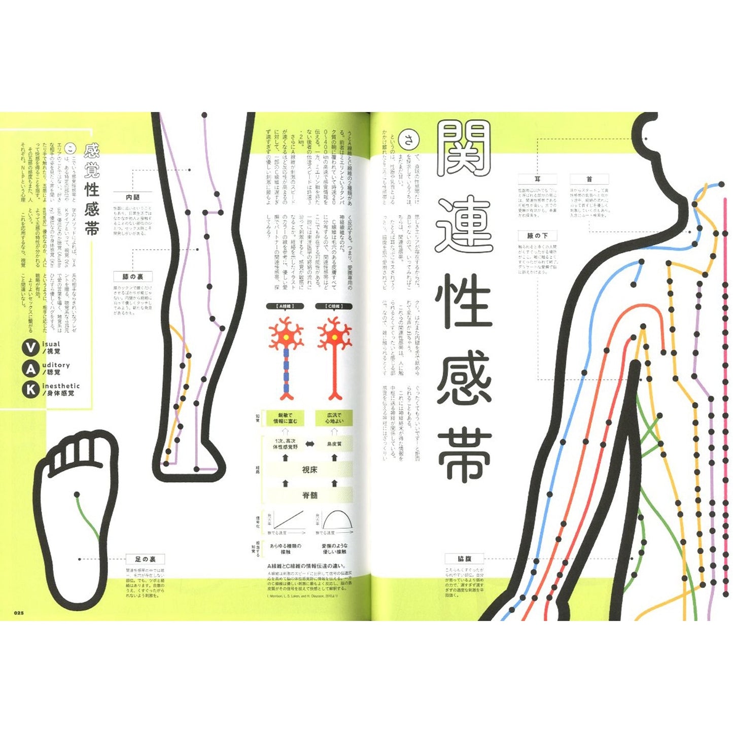 決定版　性学