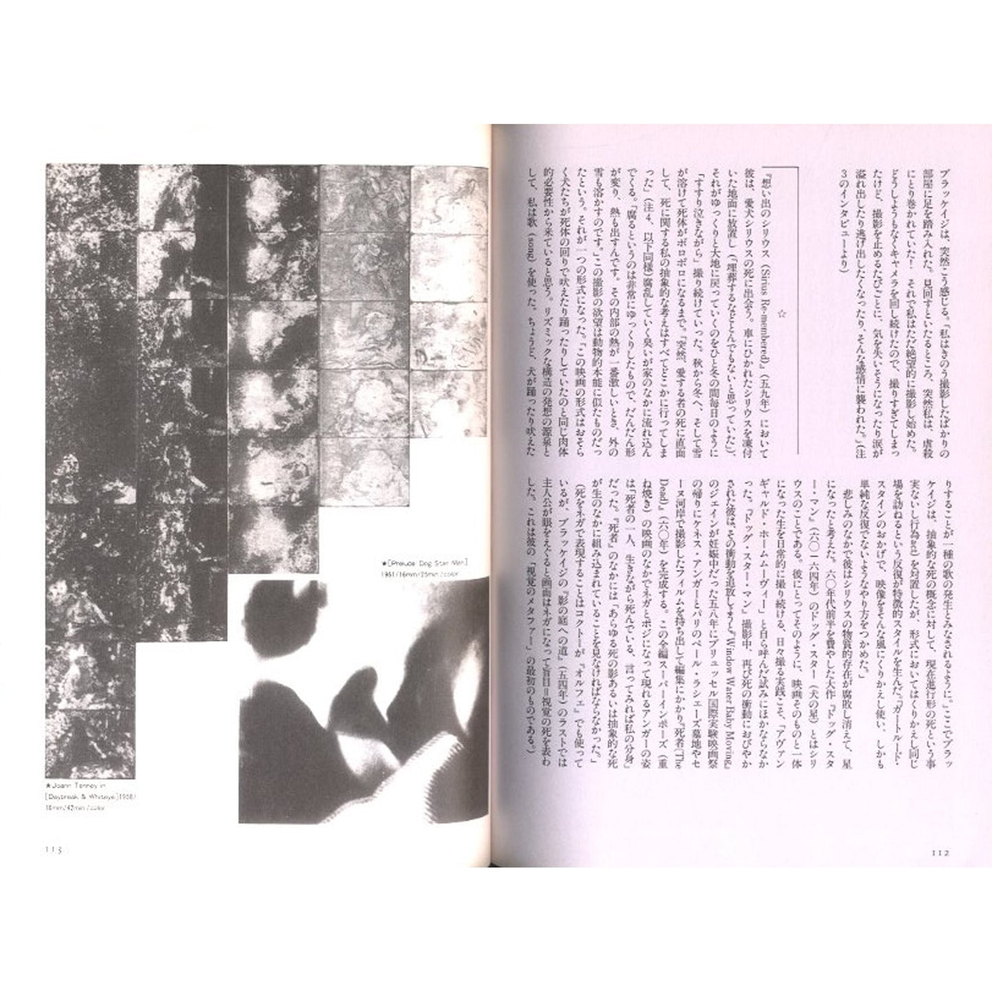 夜想24 特集：プライヴェート・フィルム
