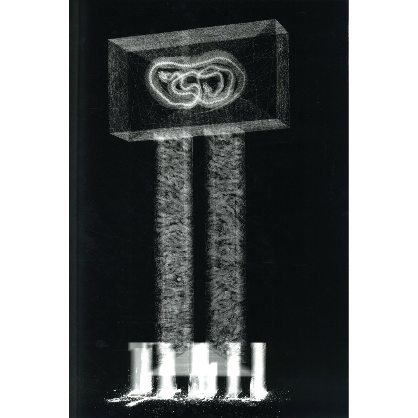 X=t: The Art of X-Ray Photography