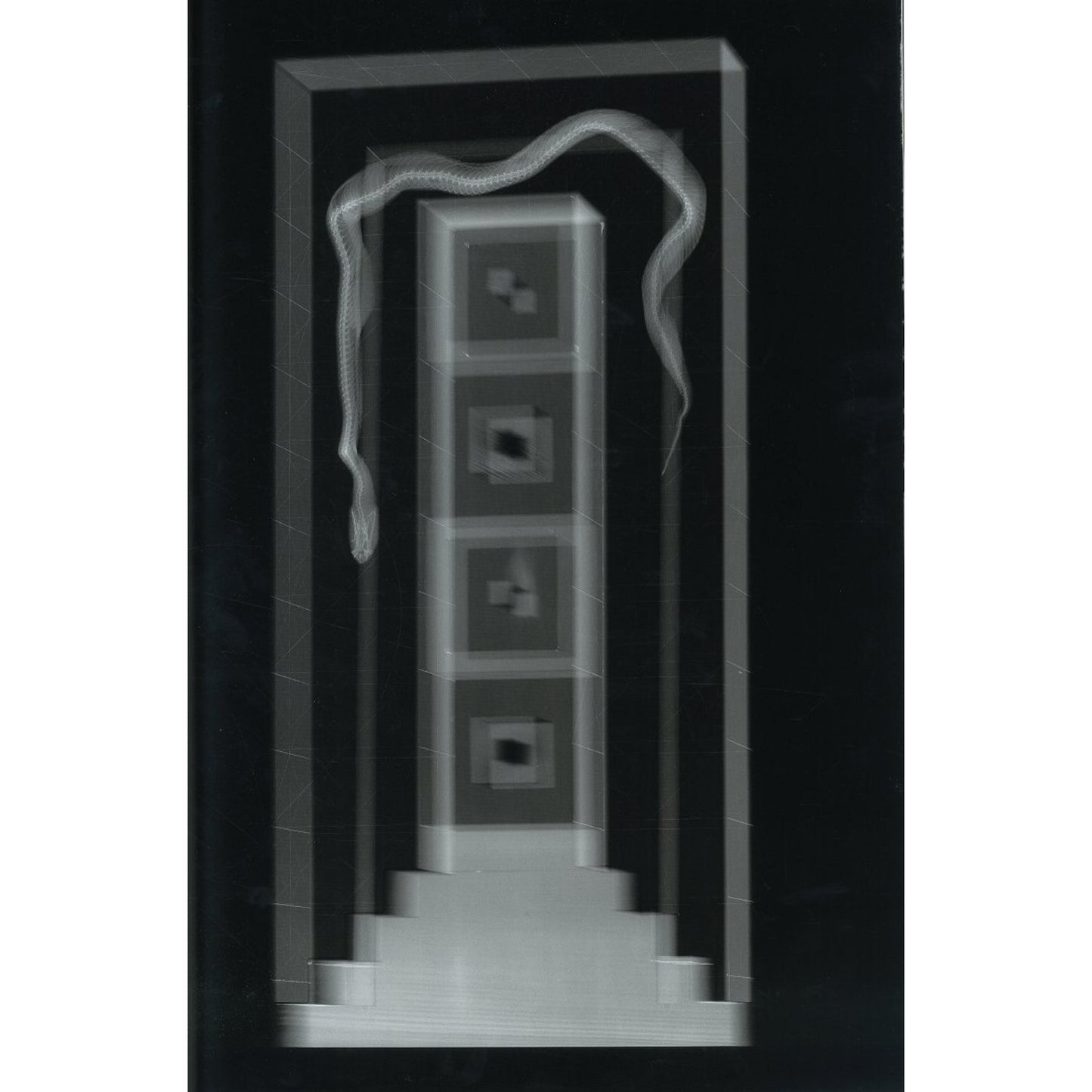 X=t: The Art of X-Ray Photography