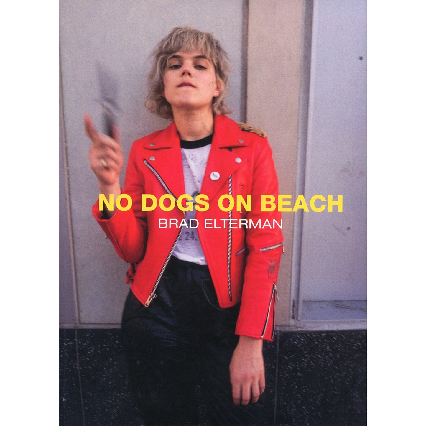NO DOGS ON BEACH